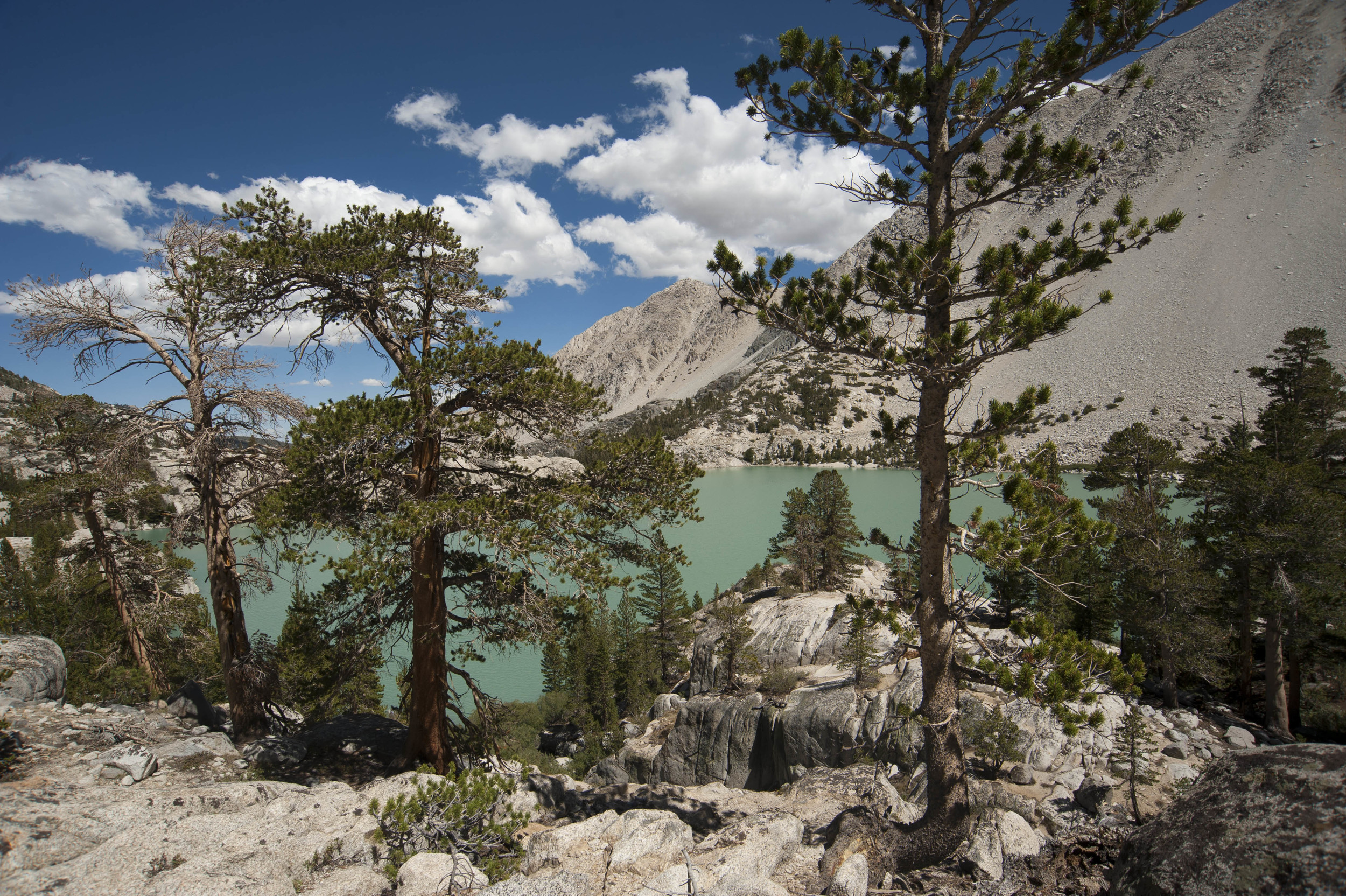 third lake thru trees.jpg