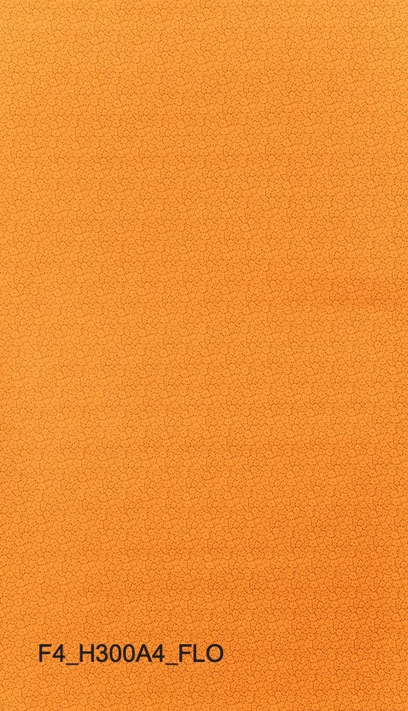 F4_H300A4_FLO.jpg