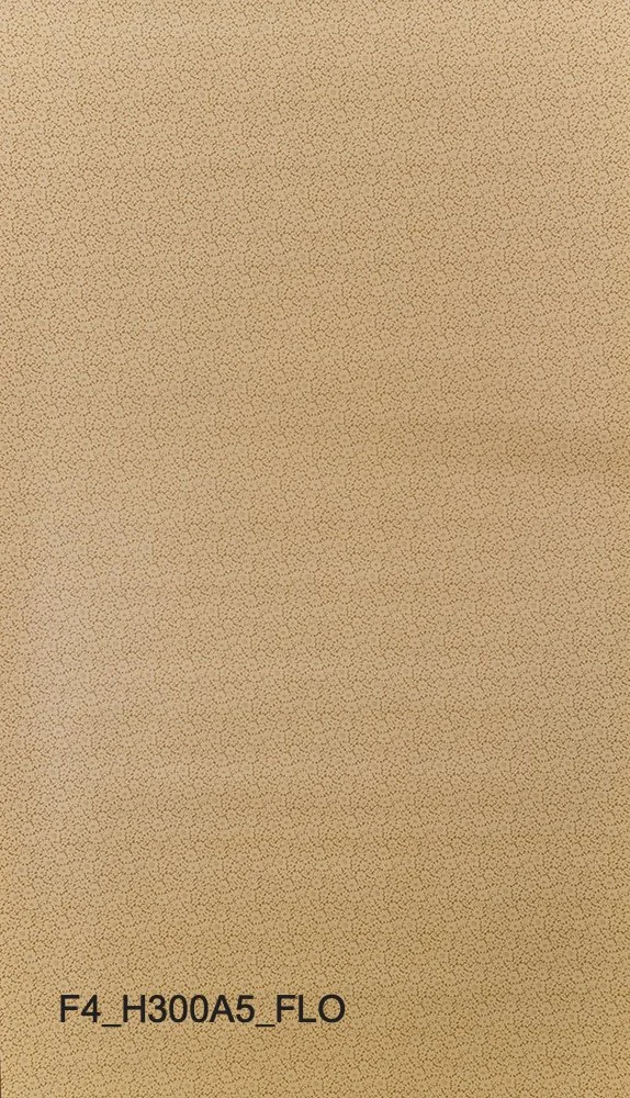 F4_H300A5_FLO.jpg