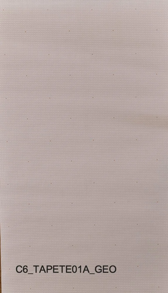 C6_TAPETE01A_GEO.jpg