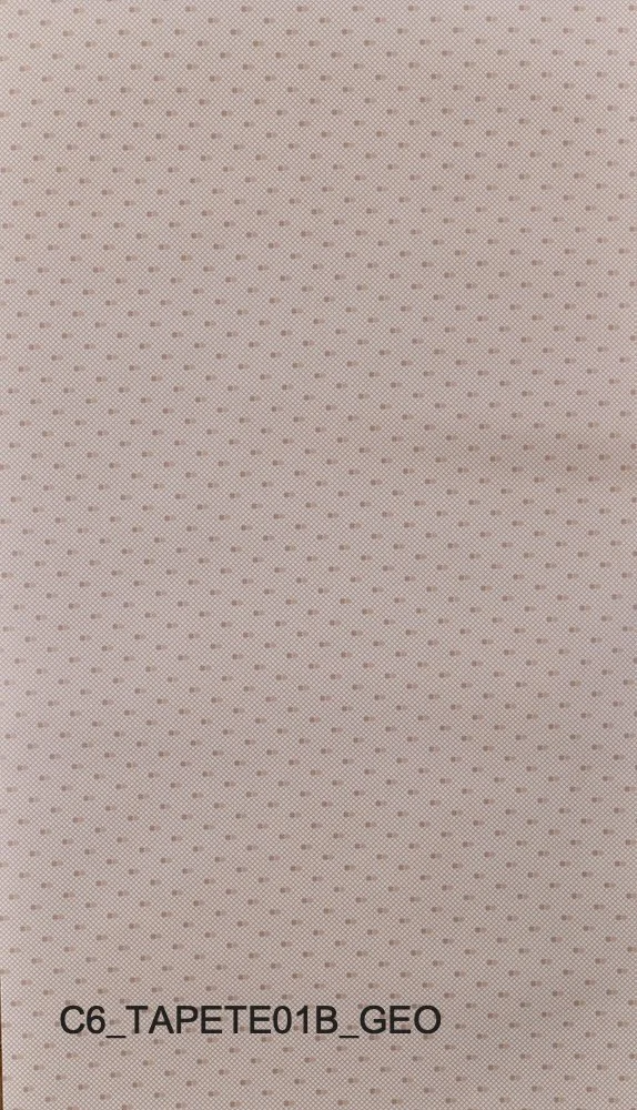 C6_TAPETE01B_GEO.jpg