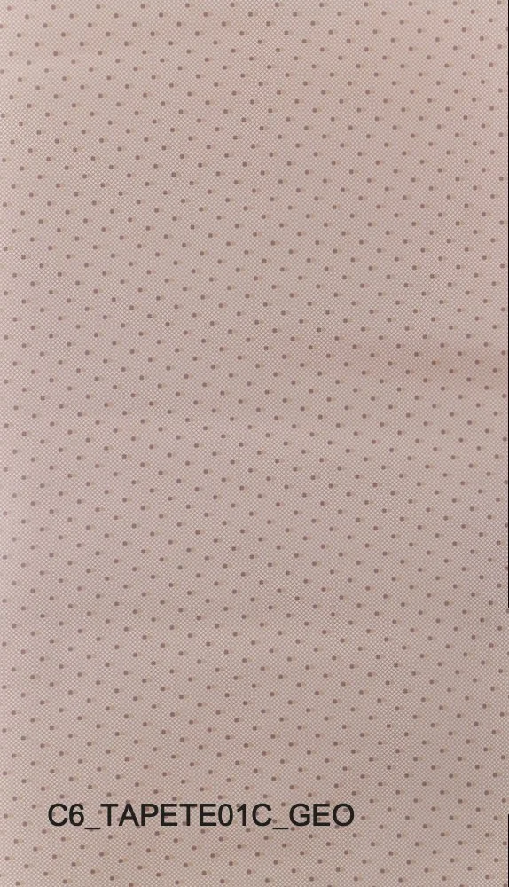 C6_TAPETE01C_GEO.jpg