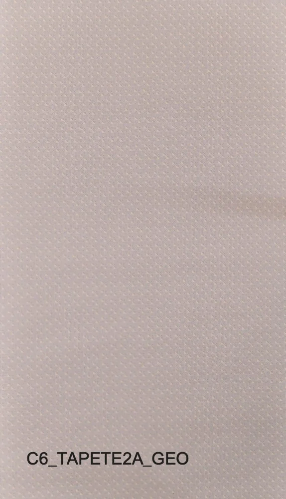 C6_TAPETE2A_GEO.jpg