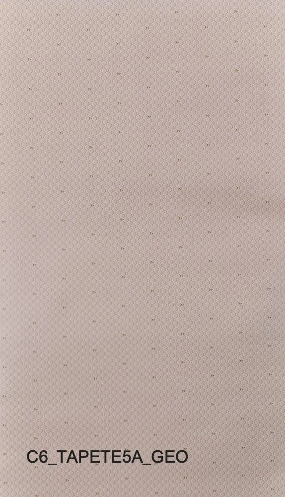 C6_TAPETE5A_GEO.jpg