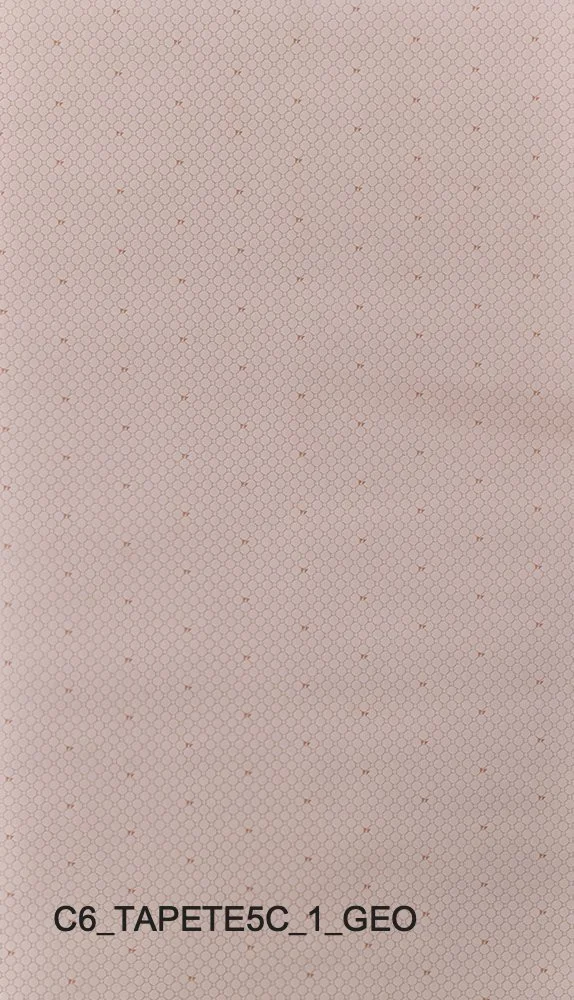 C6_TAPETE5C_1_GEO.jpg