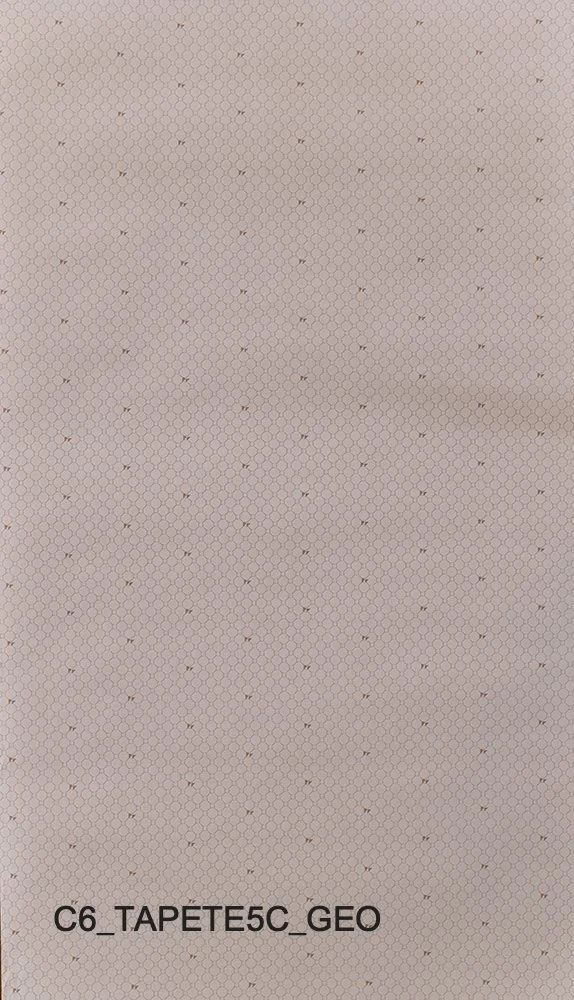 C6_TAPETE5C_GEO.jpg
