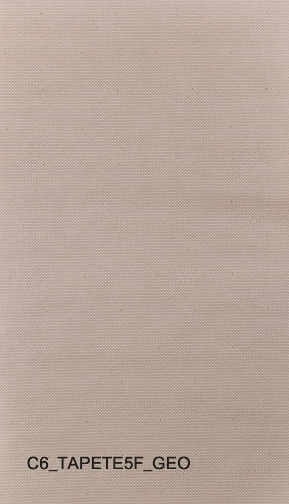 C6_TAPETE5F_GEO.jpg