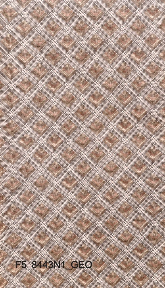F5_8443N1_GEO.jpg