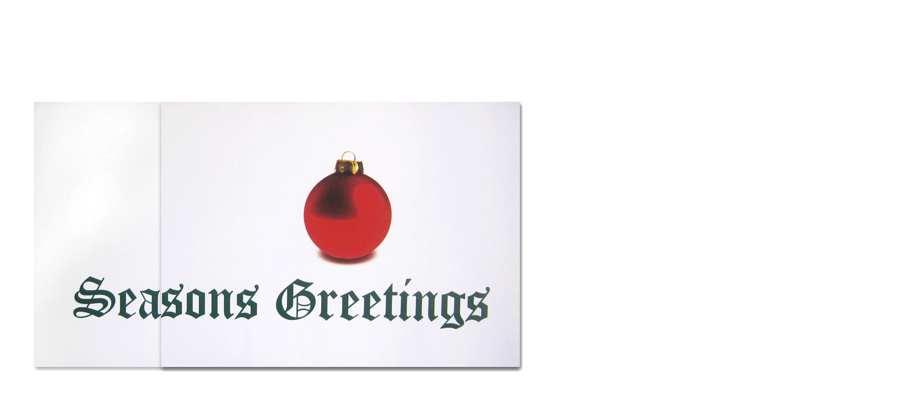 Proposed Direct Mail Piece (14" x 8" opens to 24.25" x 8")