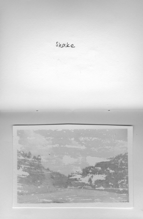 Picture 10.png