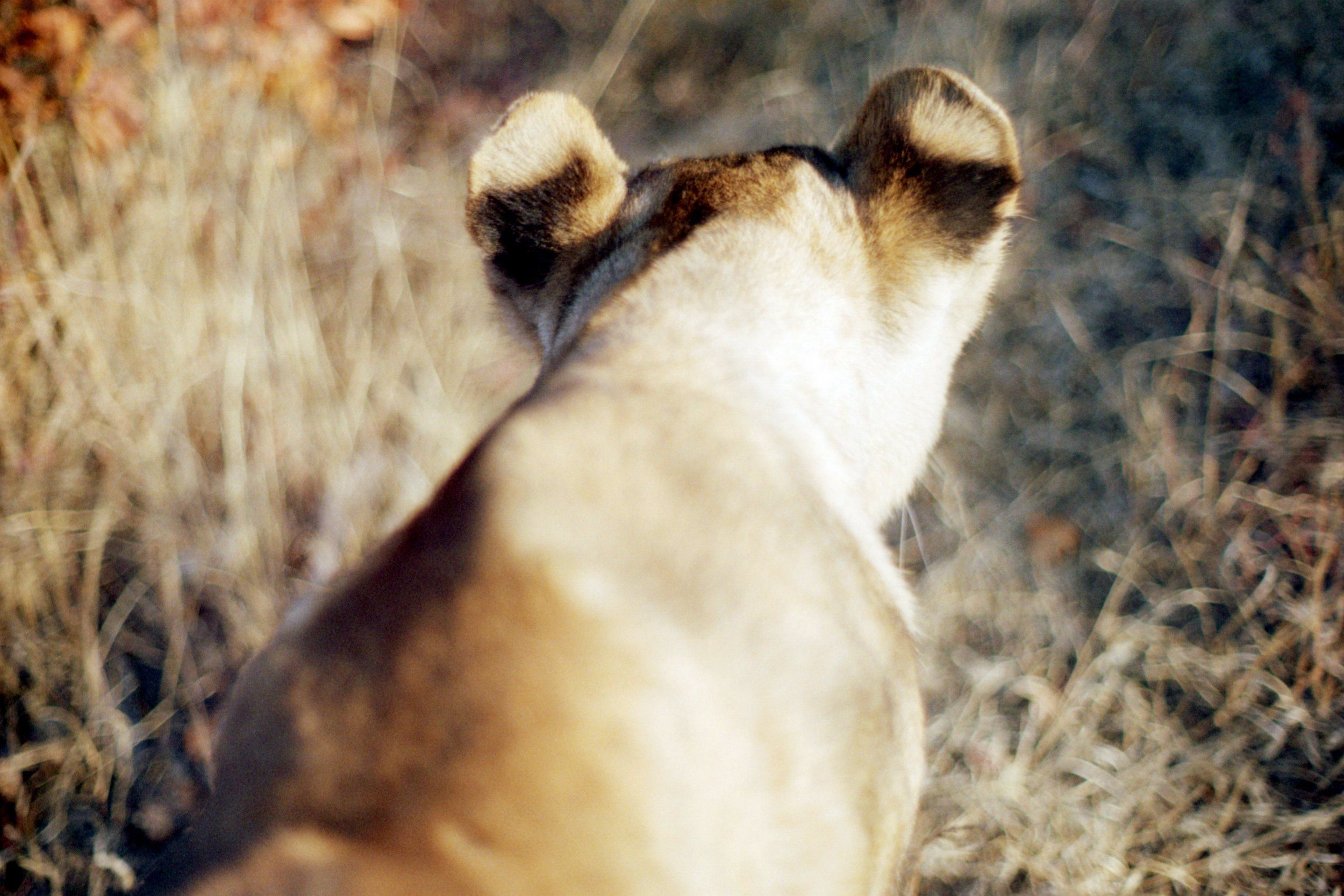 021_04a.jpg