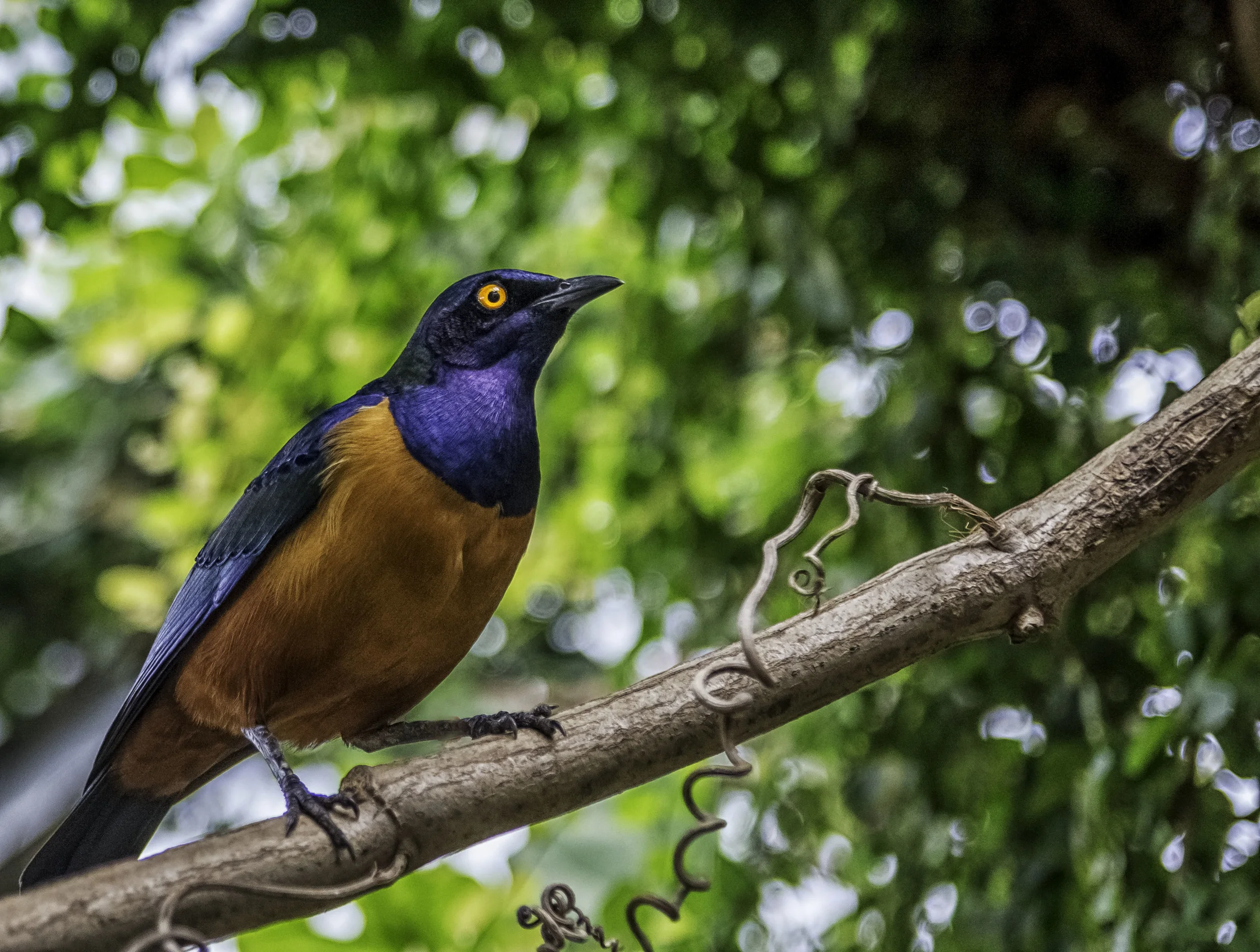 _DSC1849-Edit.jpg