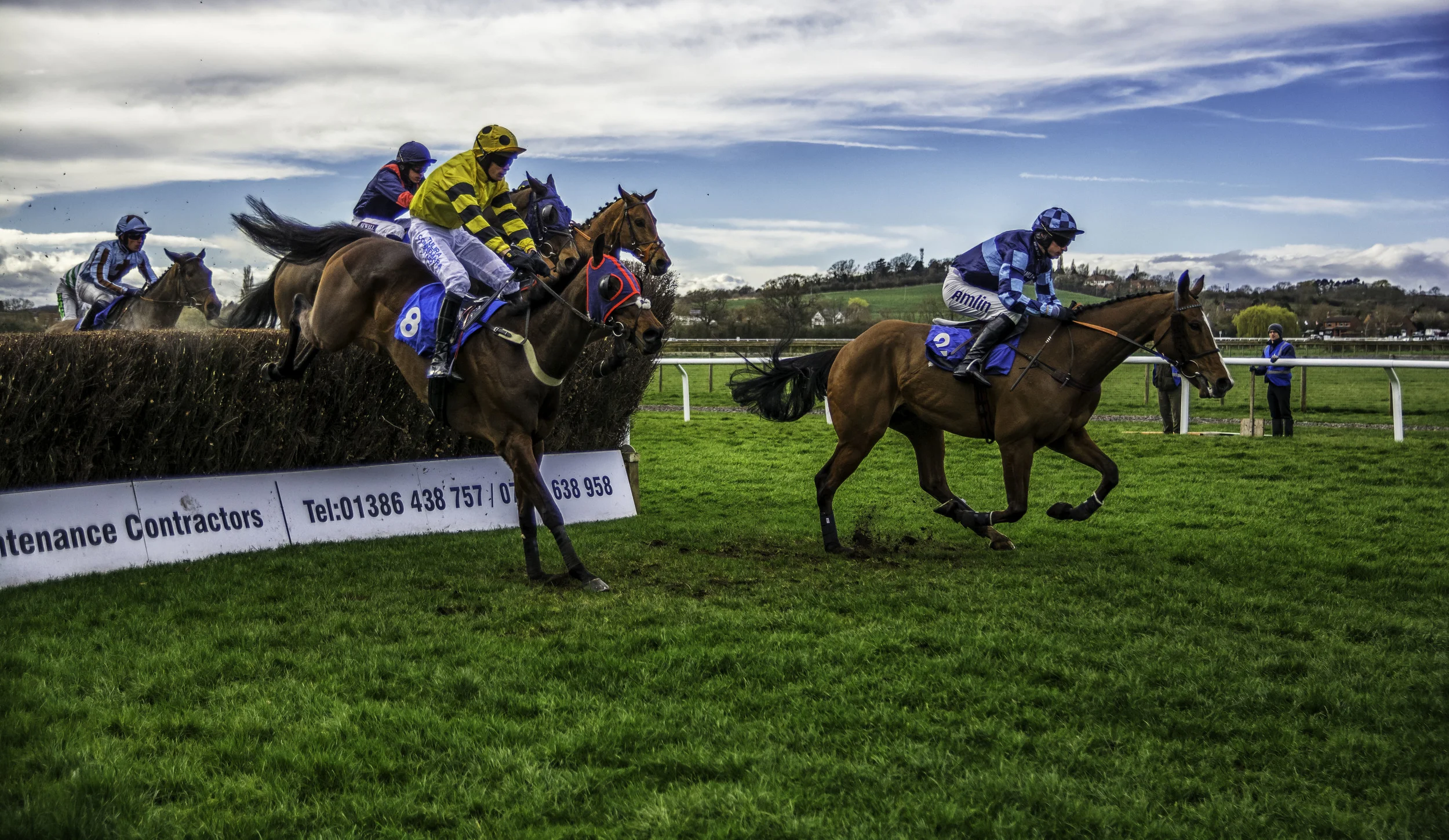 Race Horse