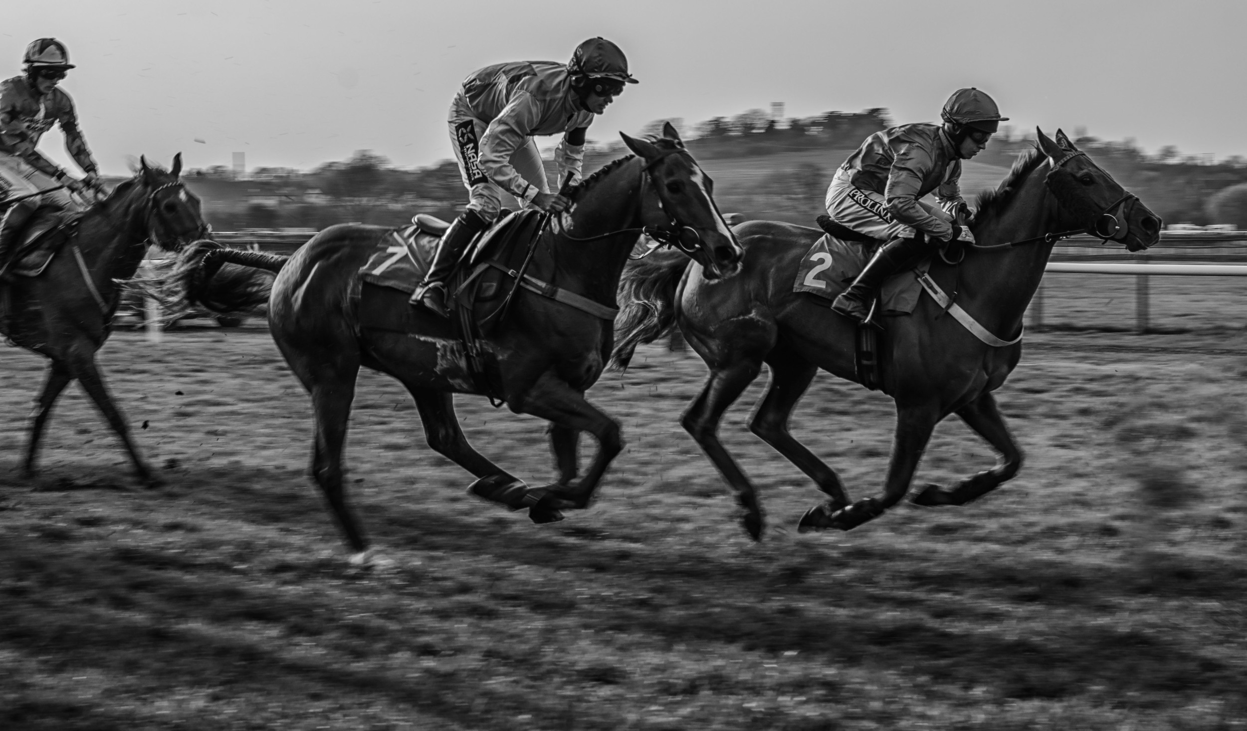 Stratford Races