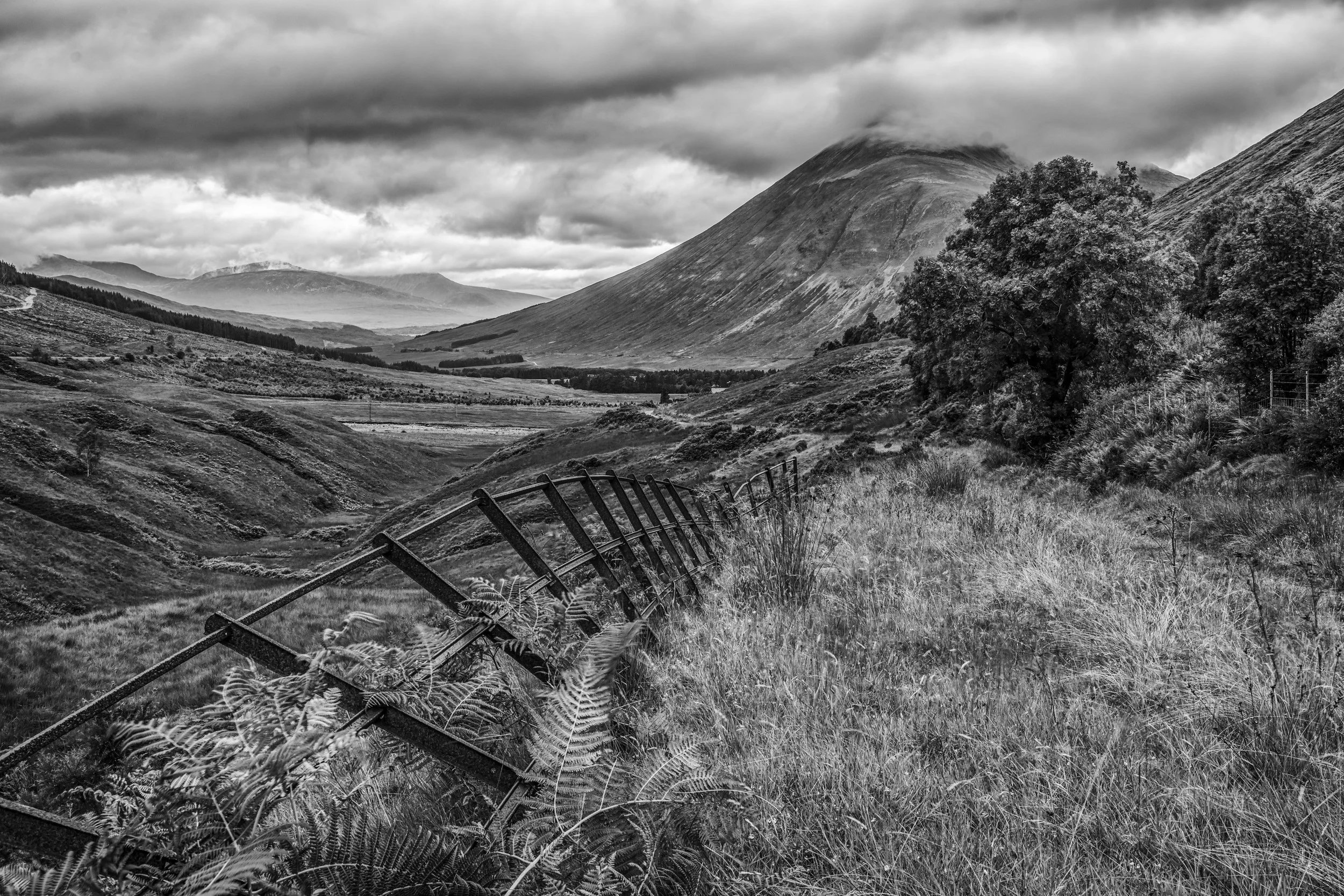 West Highland Way Nr Tyndrum 2 BW