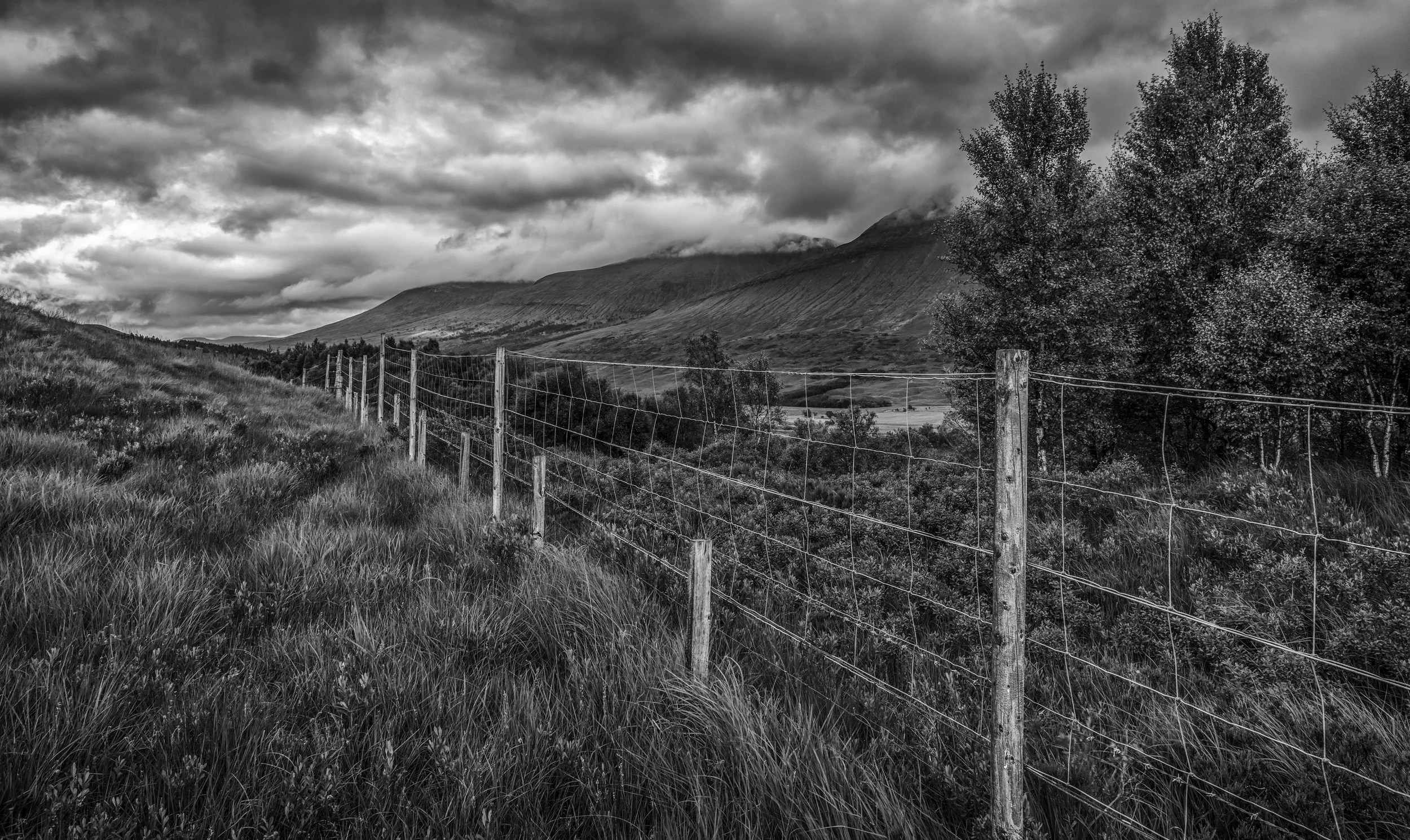 Glencoe 2 BW