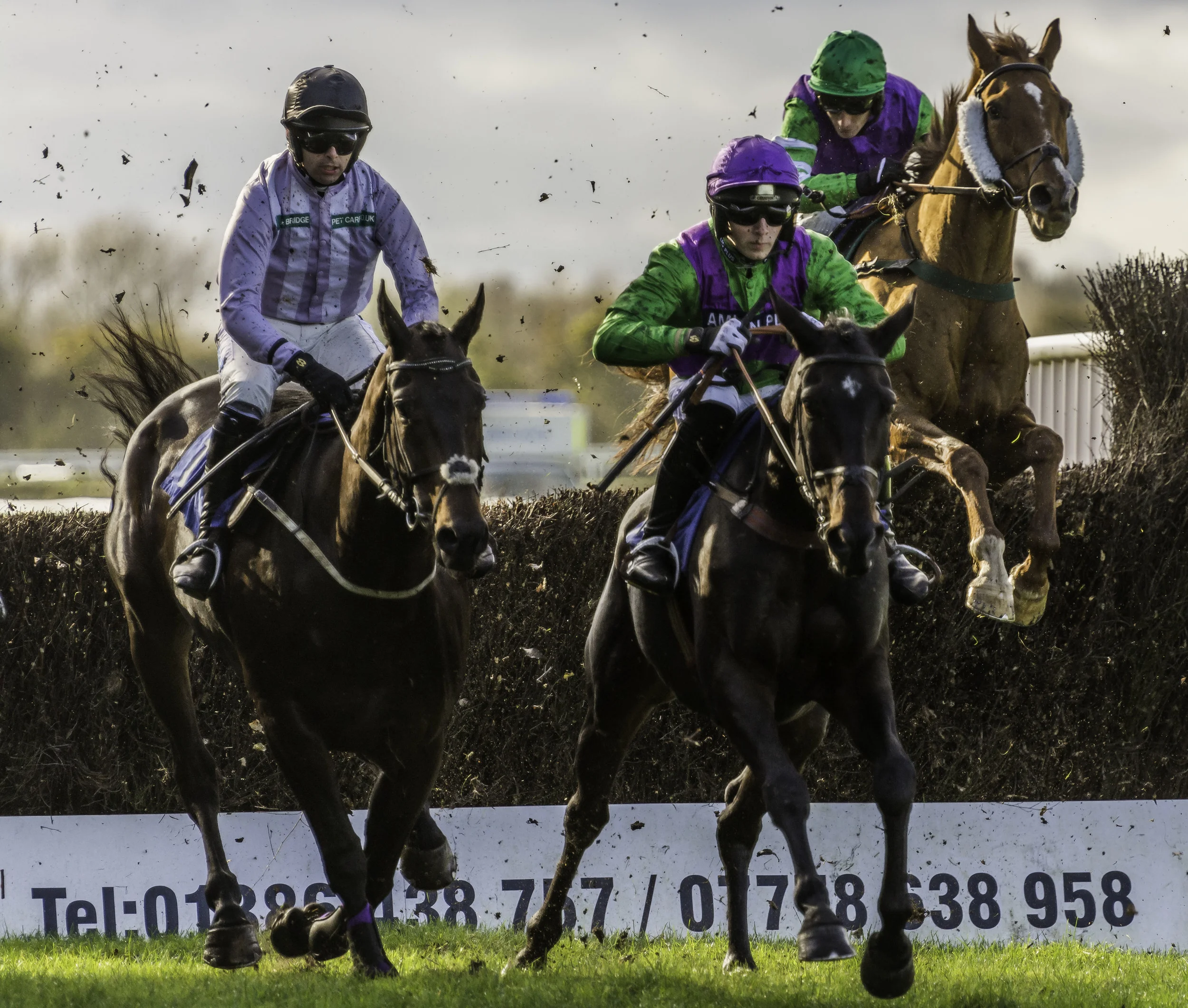 Stratford Races 2