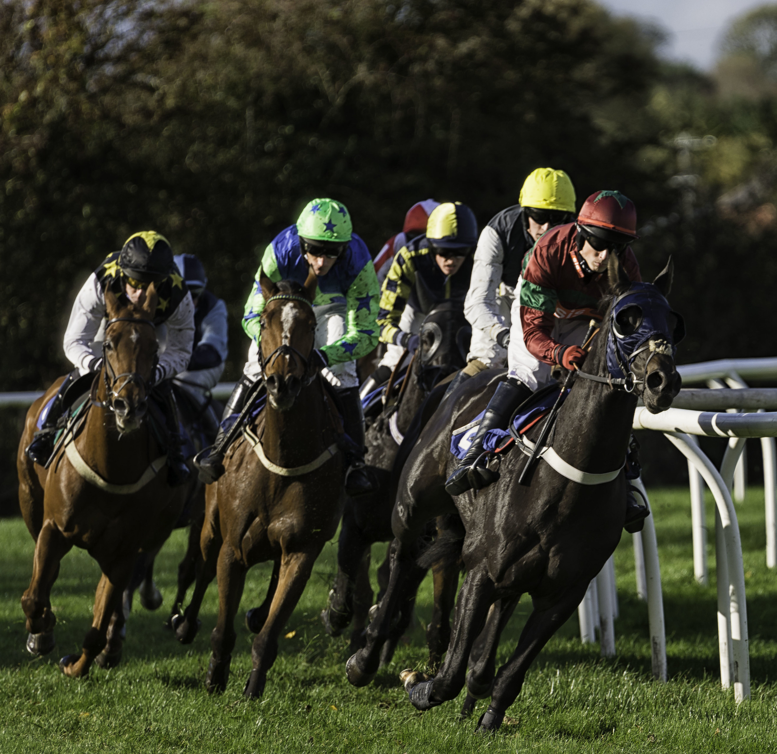 Stratford Races 4