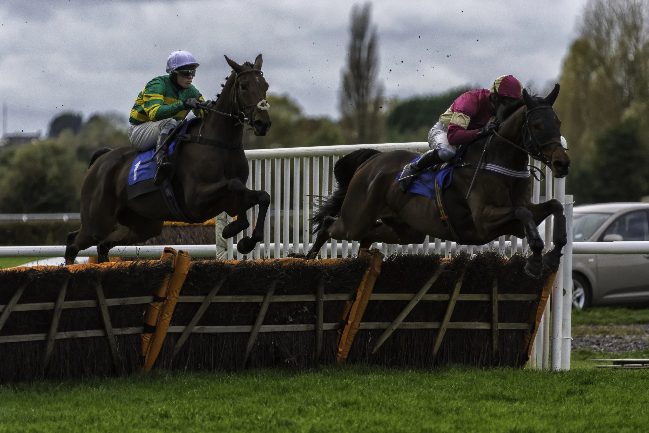 Stratford Races 3