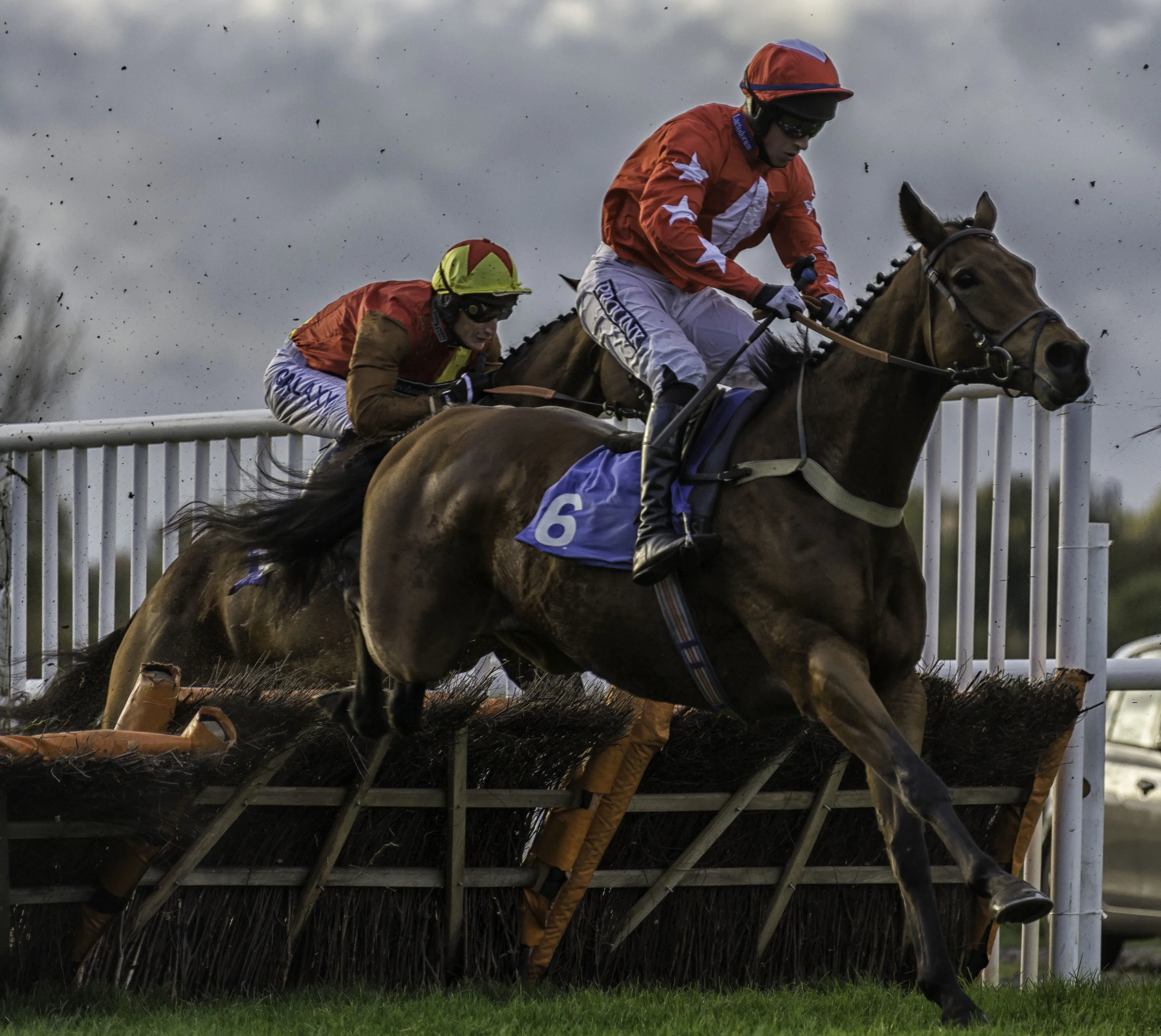 Stratford Races 6