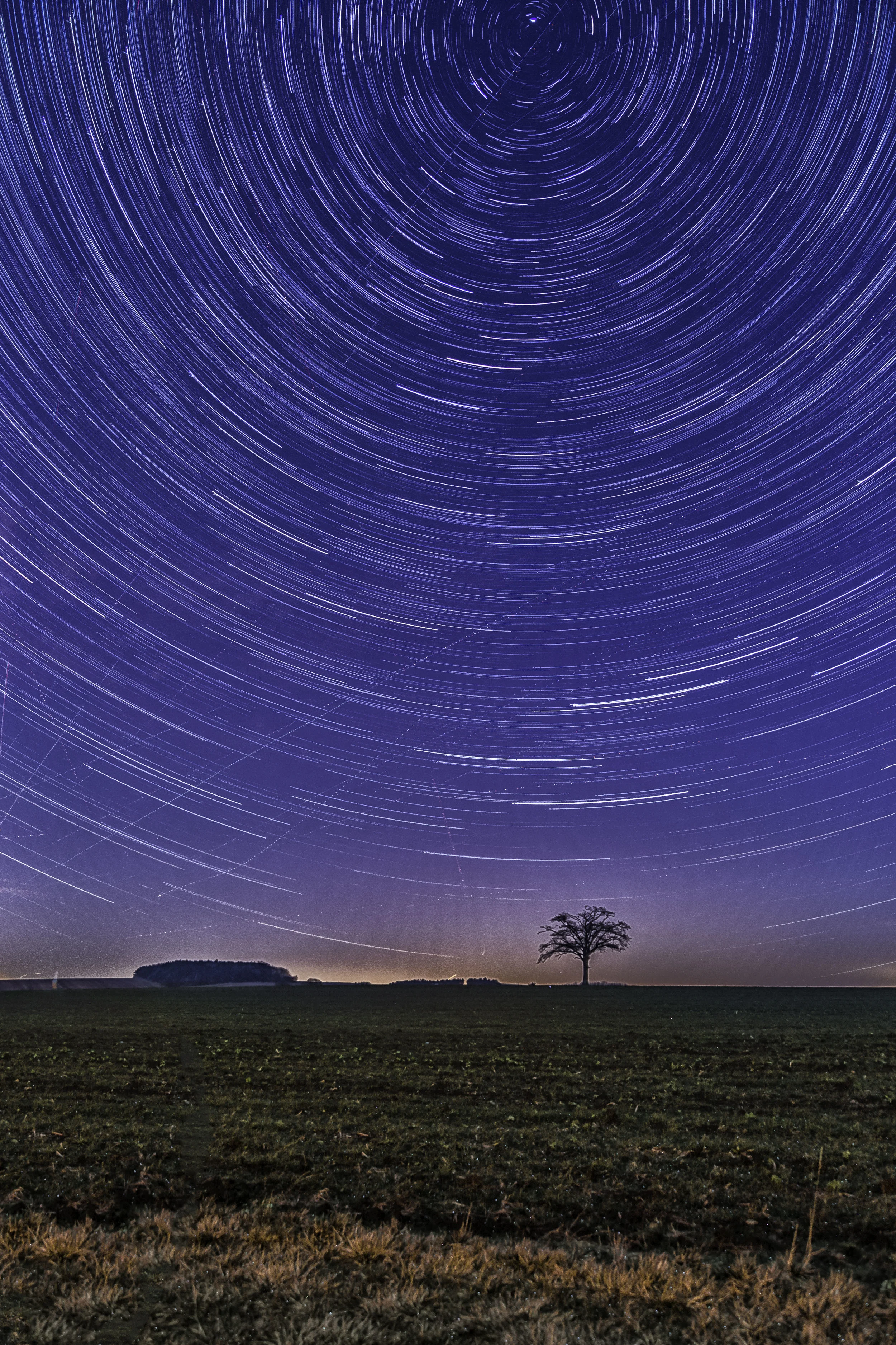 Lone Tree