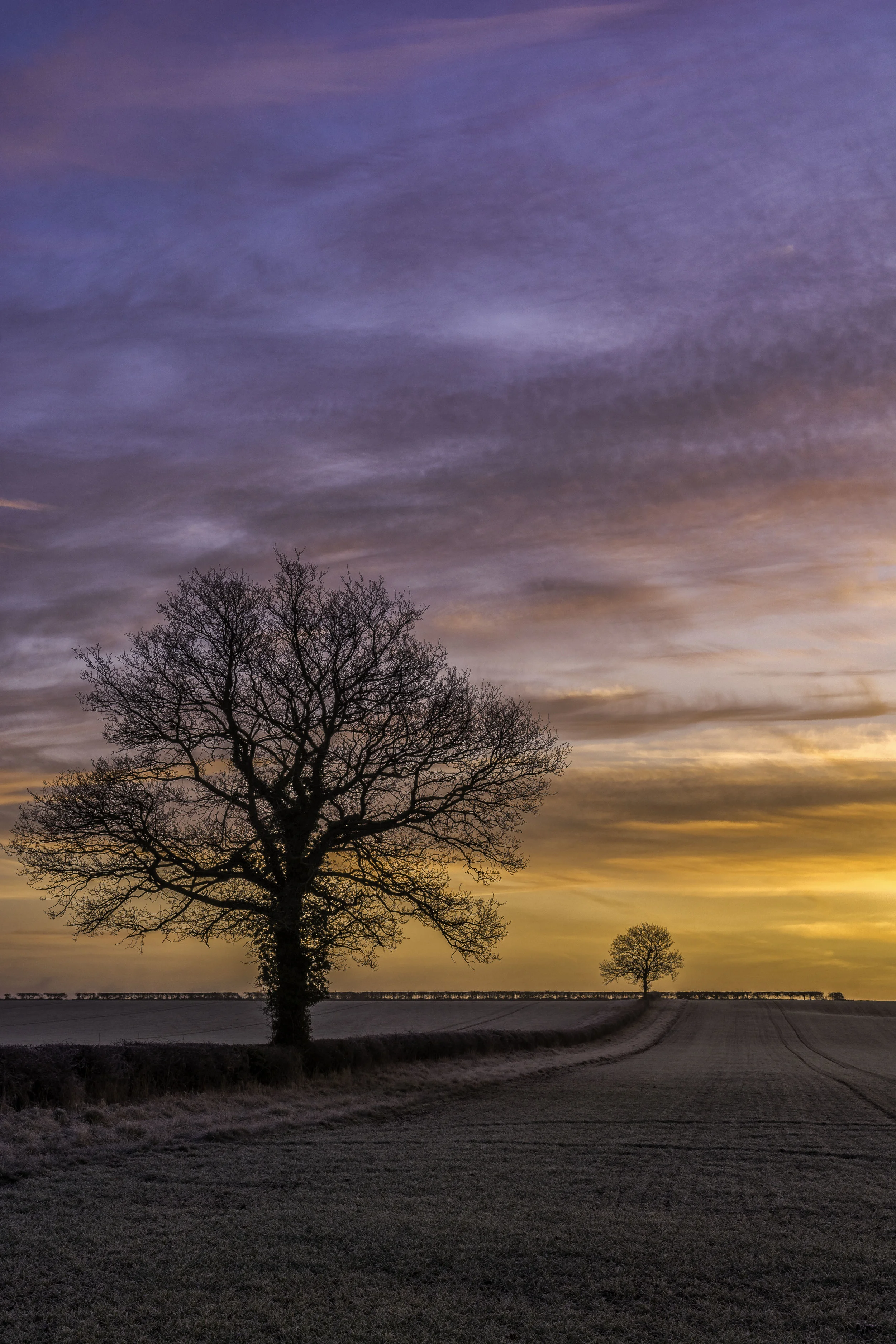 Morning Frost