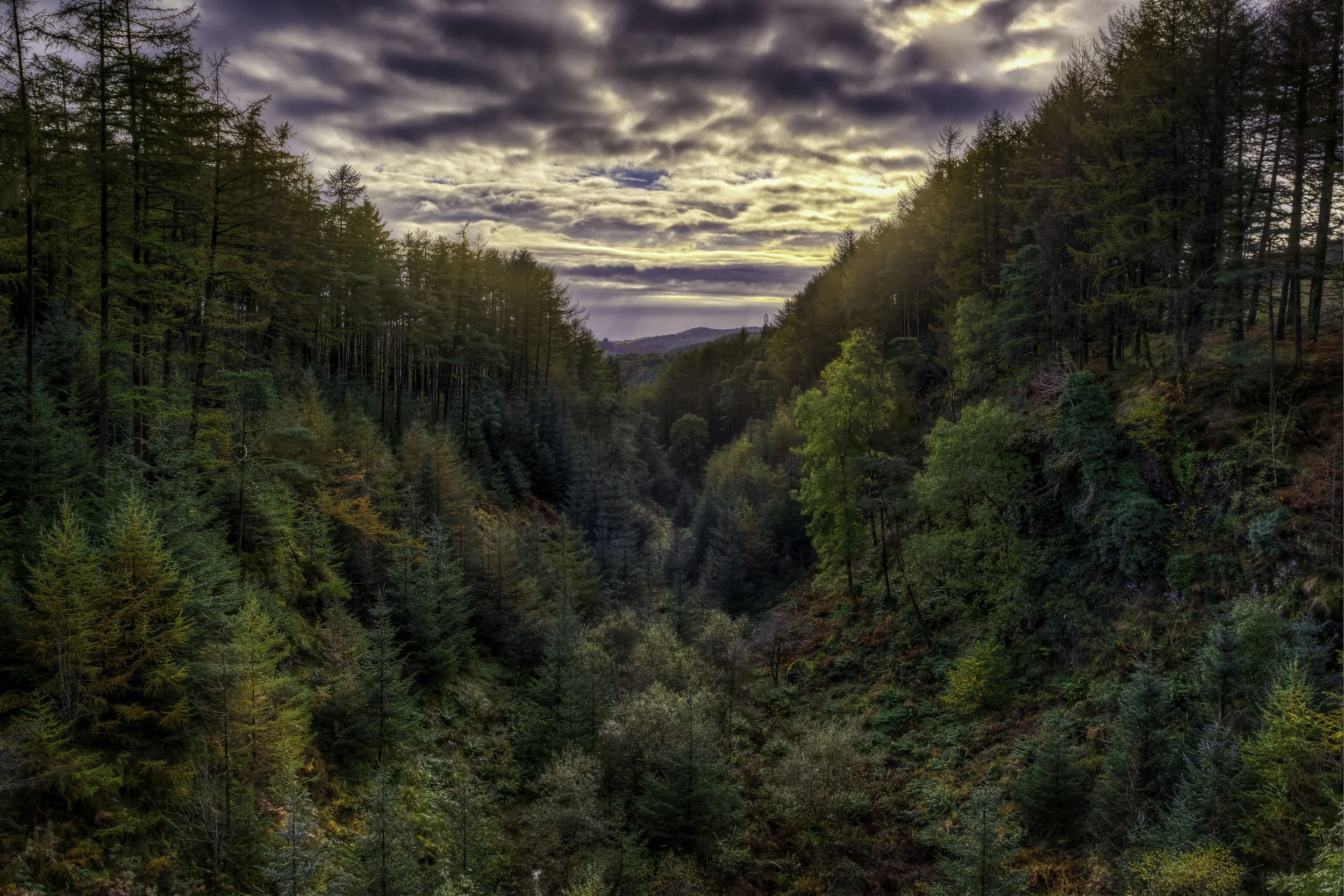 Scottish Valley
