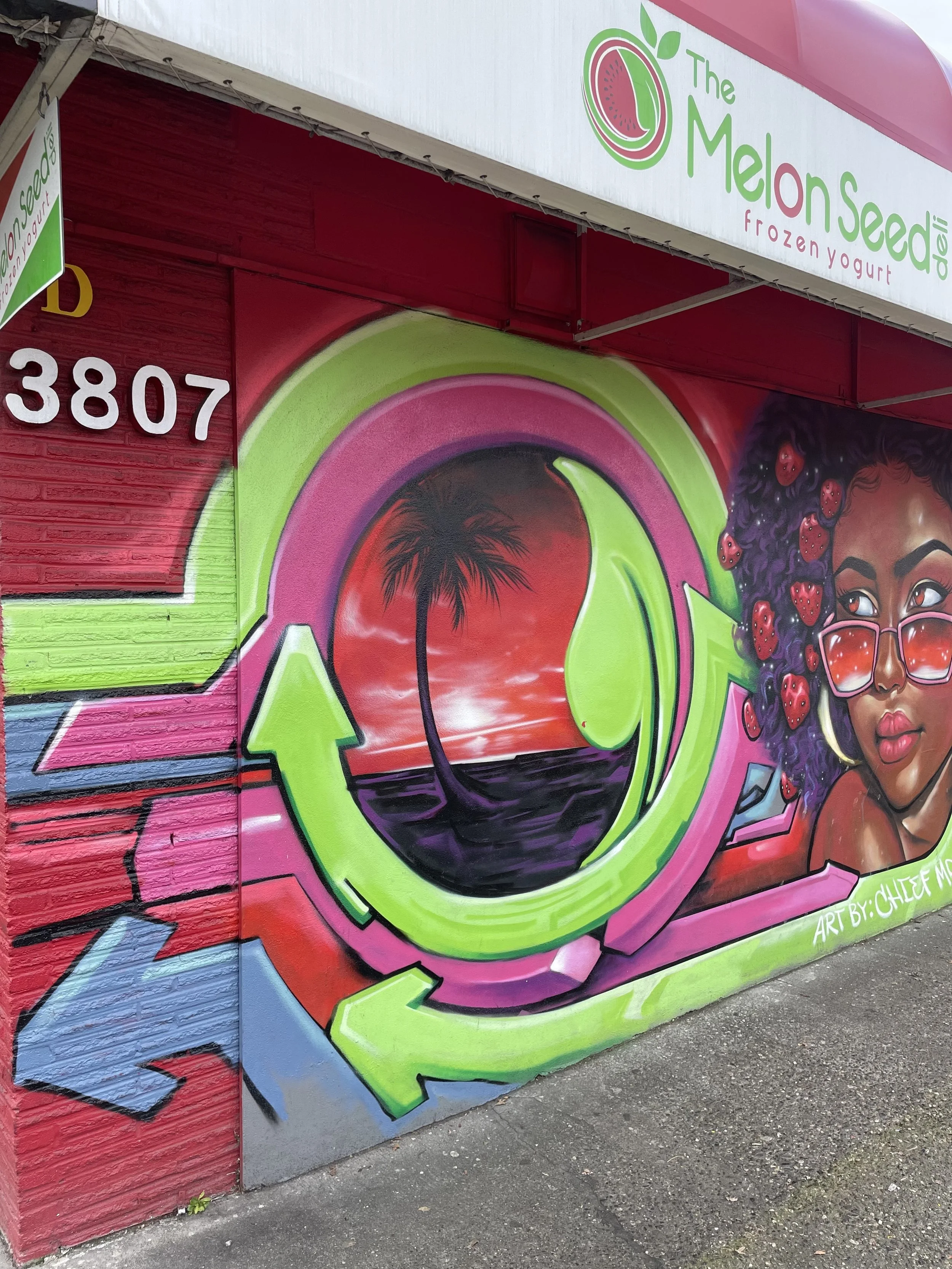 Black Owned: The Melon Seed Deli &amp; Frozen Yogurt