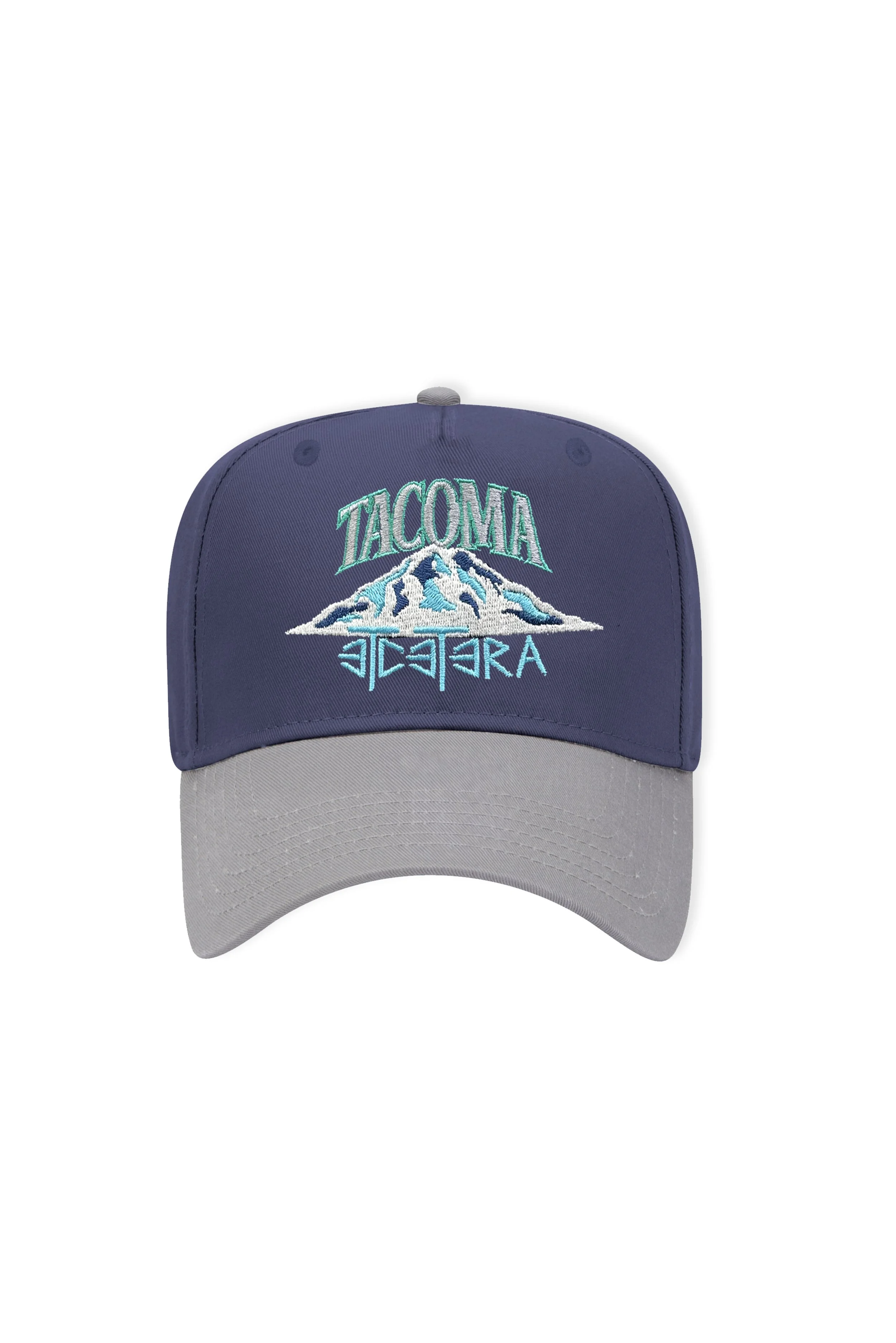 1995 MT. TACOMA (NAVY/GRAY)