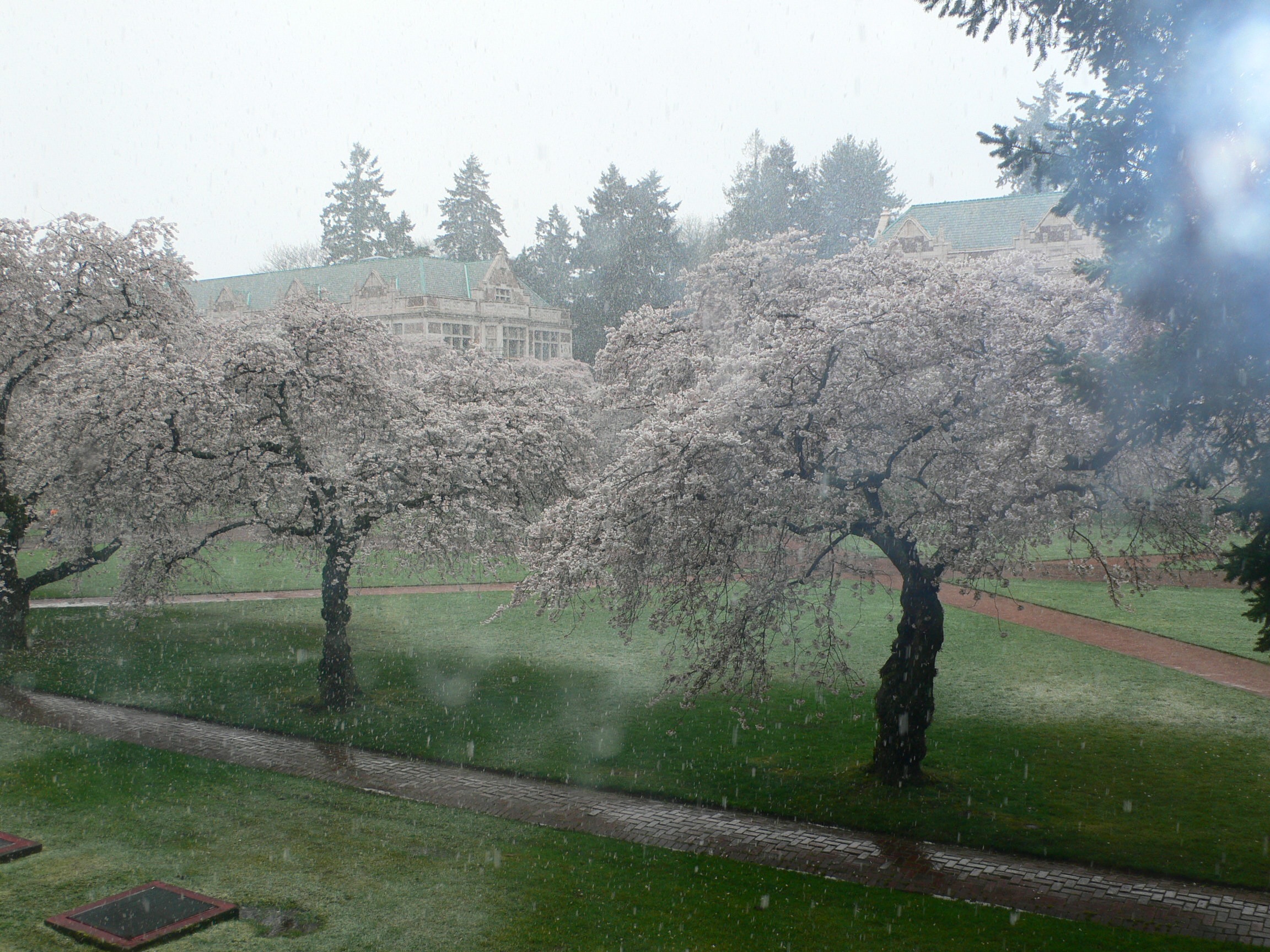 March 28, 2008