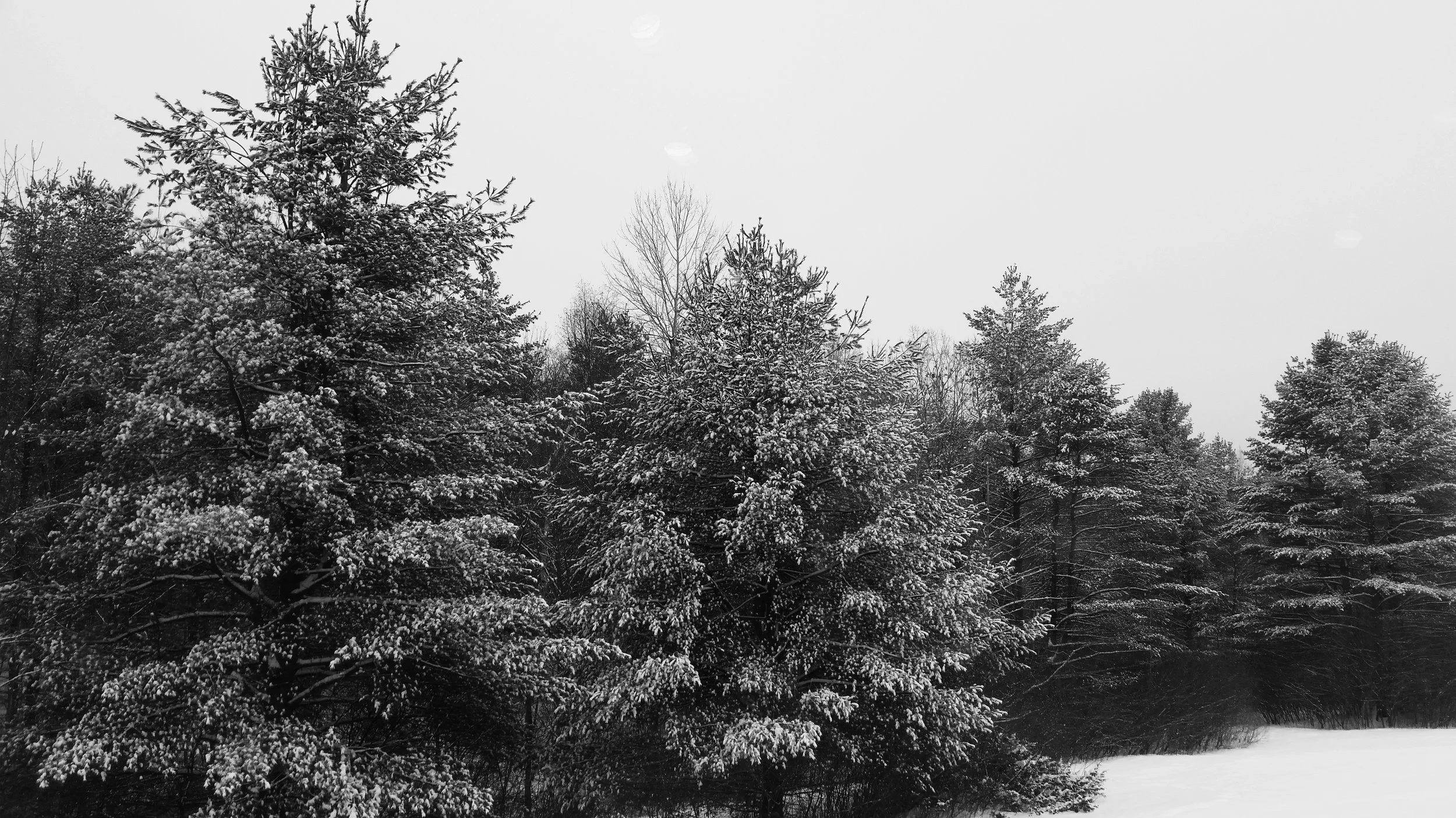 20161217_140758.jpg