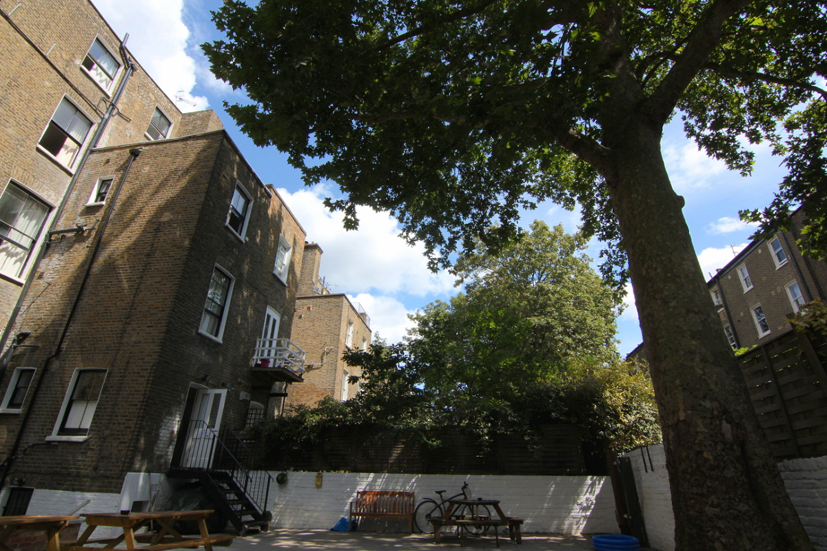 hostel-garden-tree-3.jpg