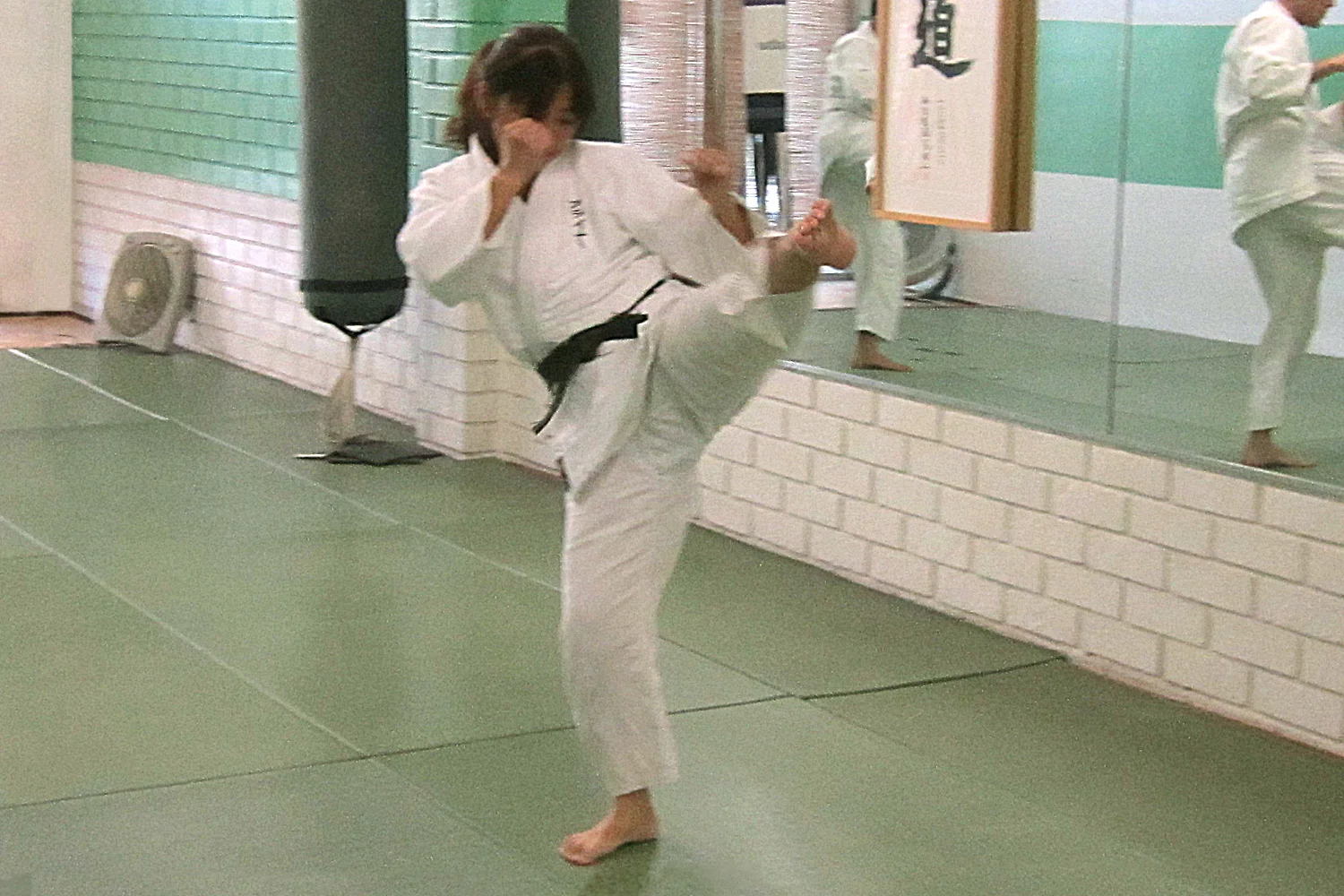 Los Angeles Aikido School: Self Defense Classes
