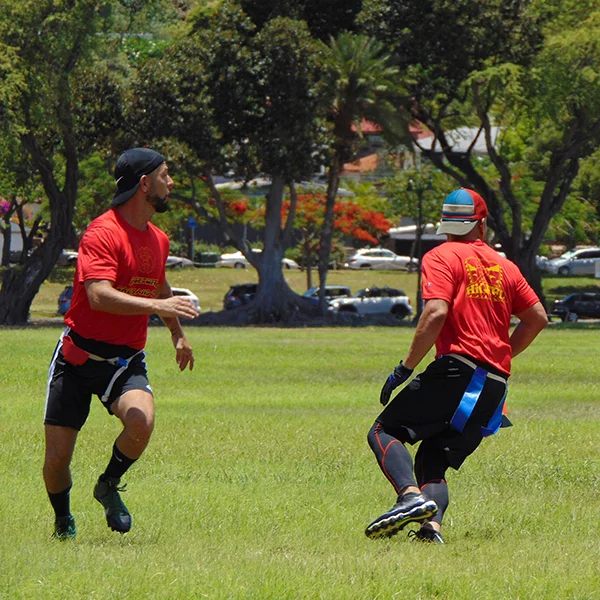 DSC00484.JPG