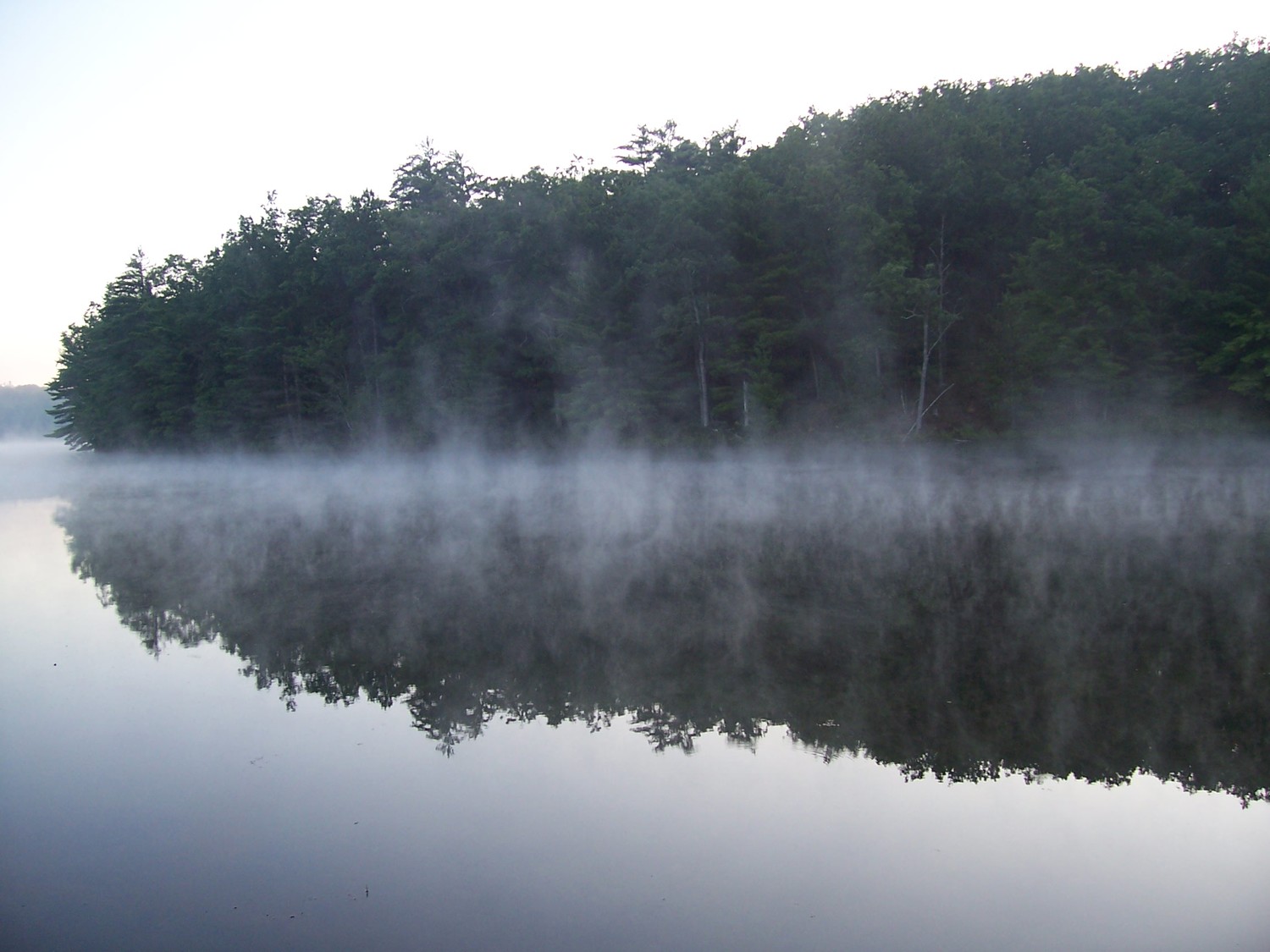 Early morning mist on Lake Wolverine