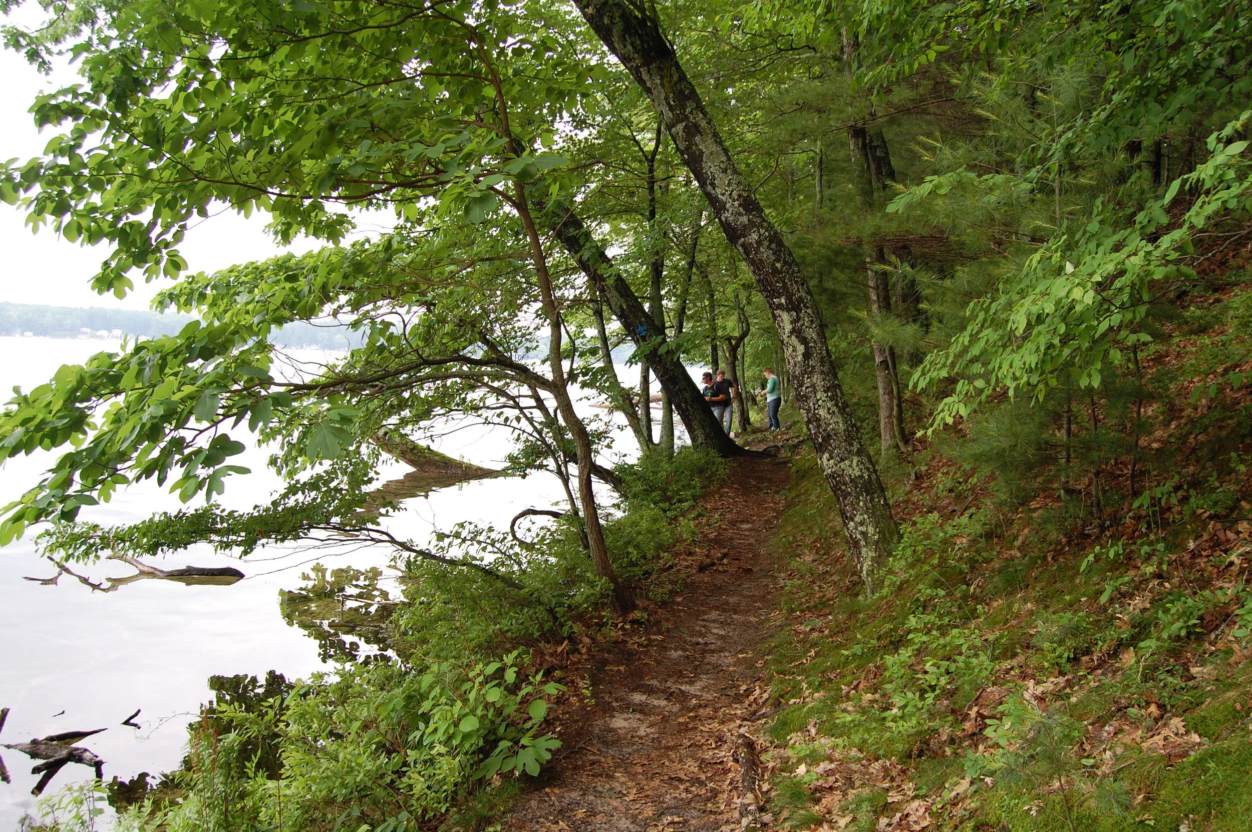 Click- Lake Trail (2015)