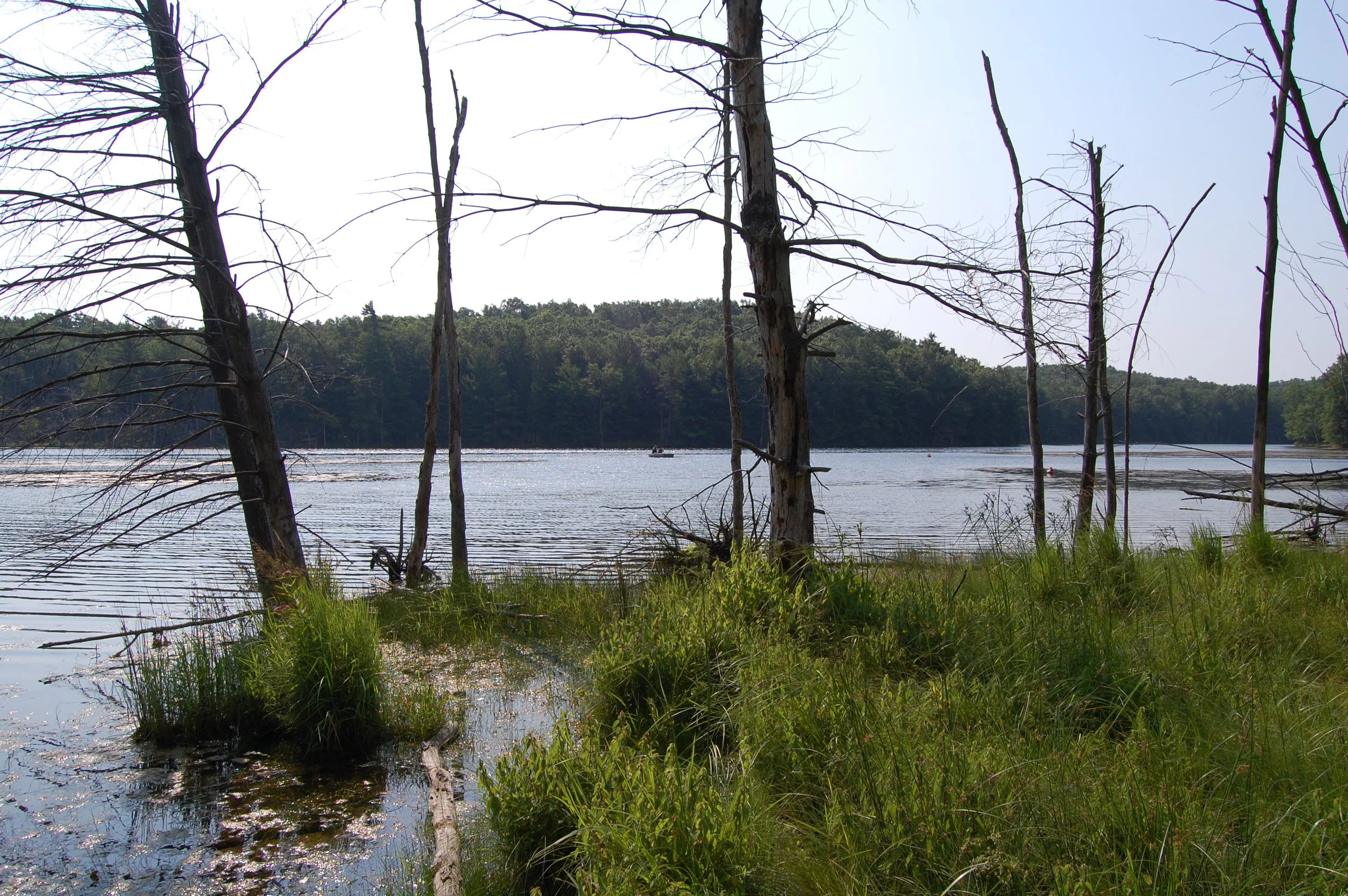 Click -Lake Wolverine(2015)