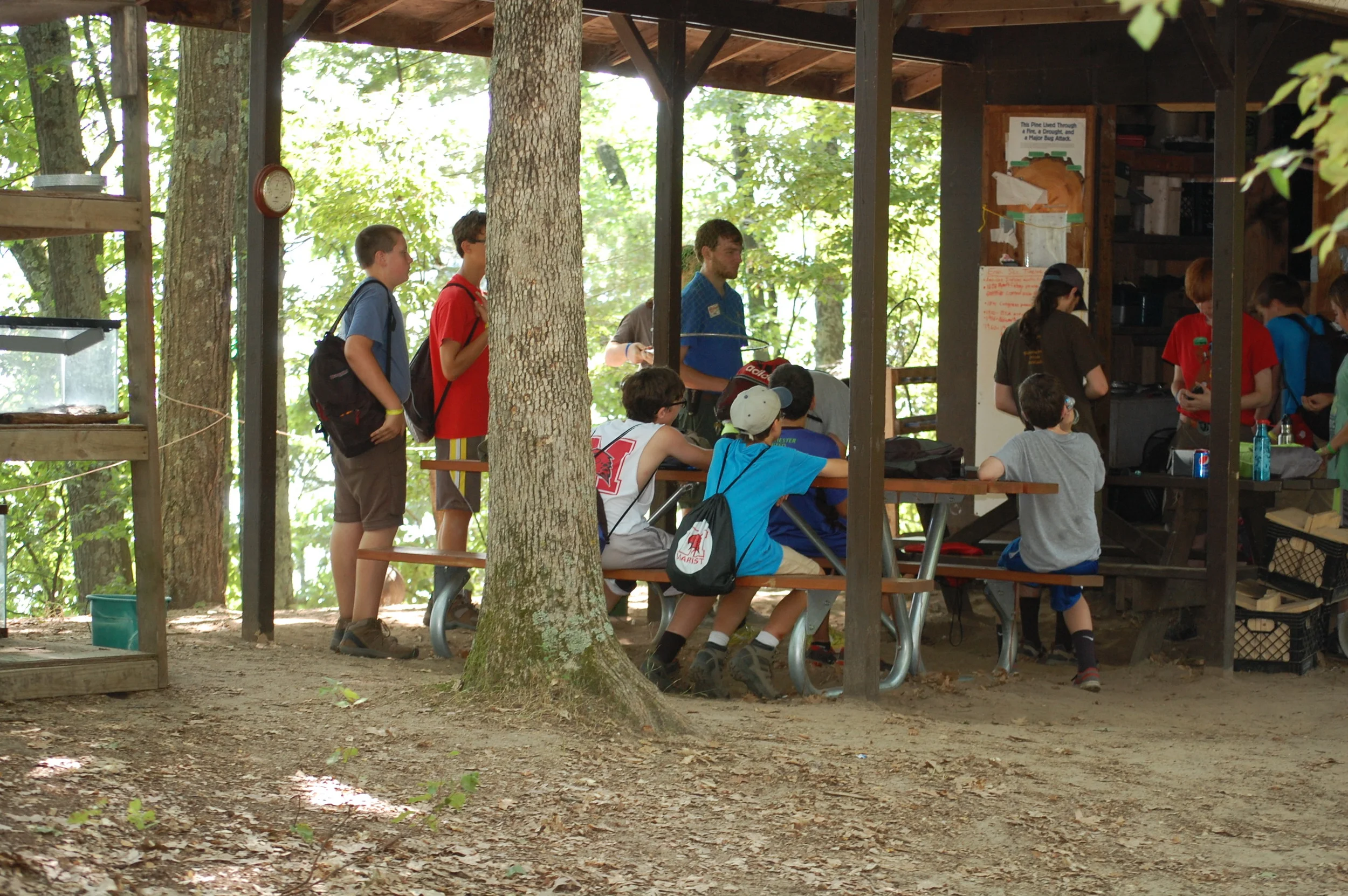 Blackhawk Ecology/Conservation