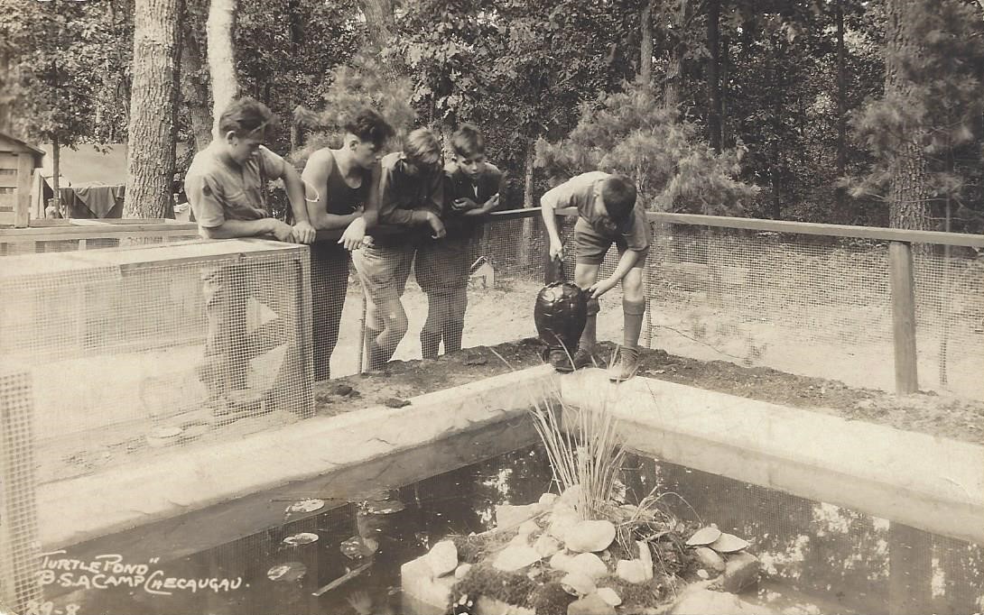 Checaugau Turtle Pond 1929