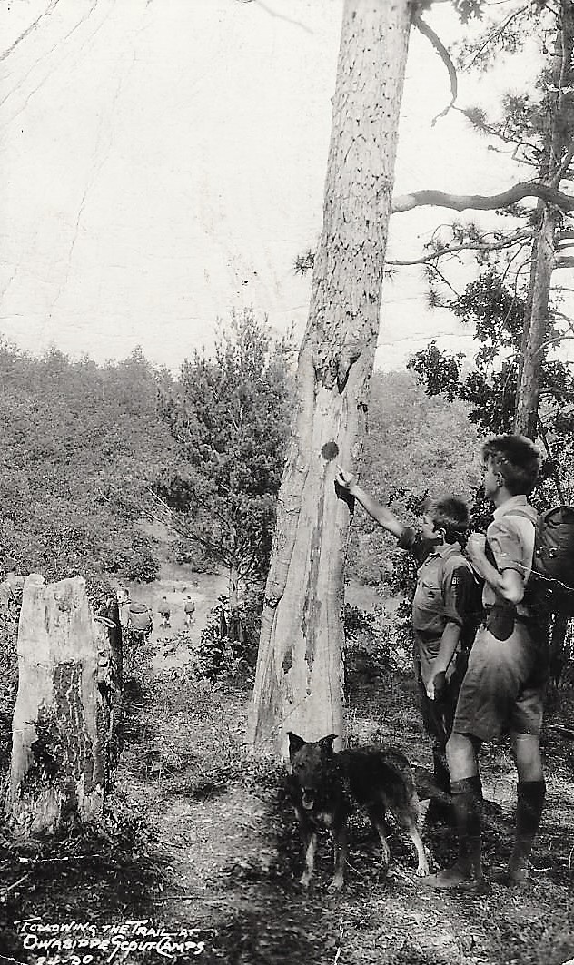Trail Postcard 1938