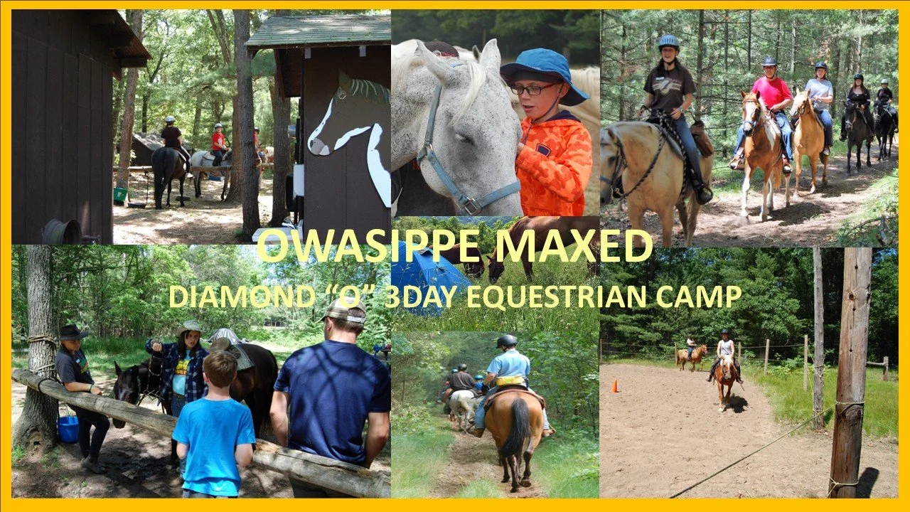 Maxed Horse home page Rotation.jpg