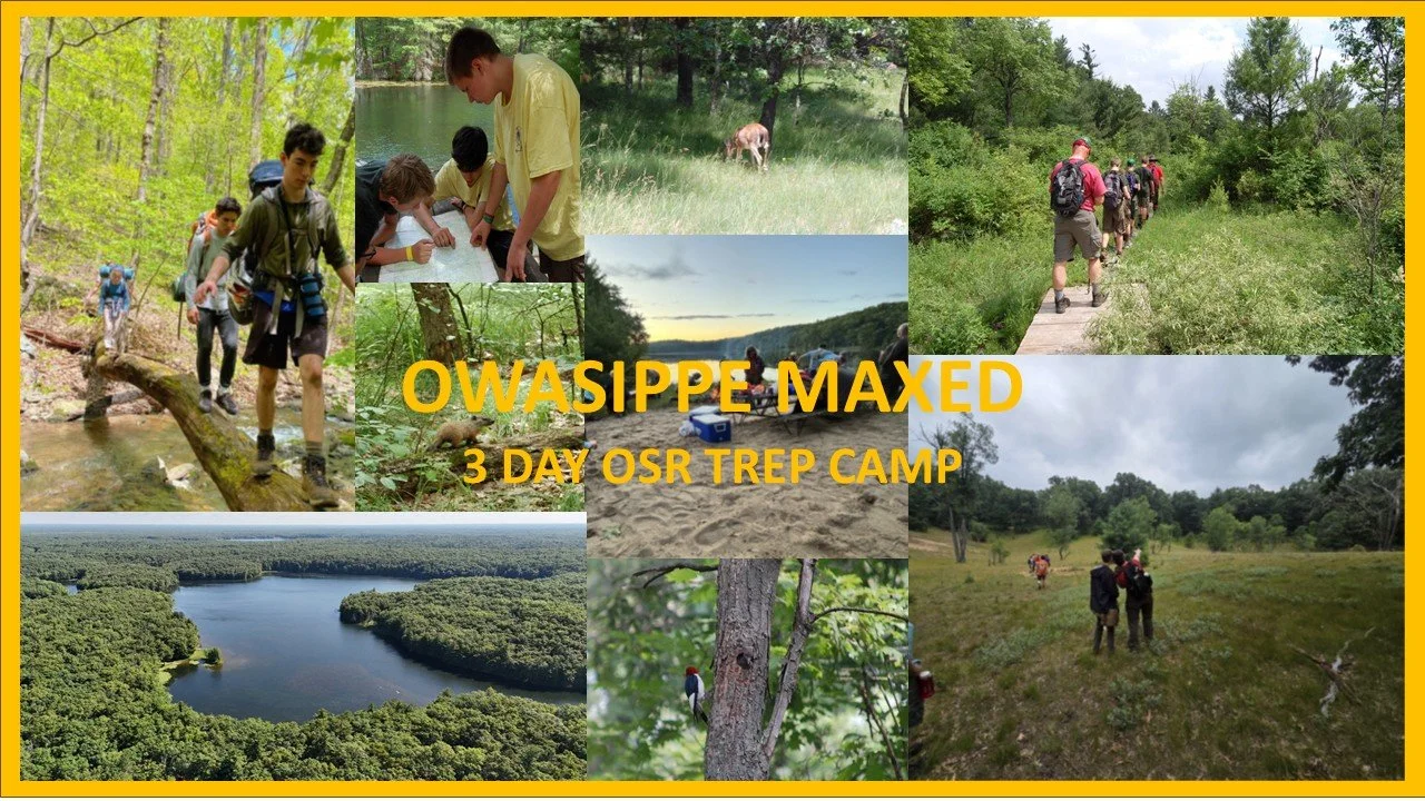 Maxed TREK home Rotation Ver.2.jpg