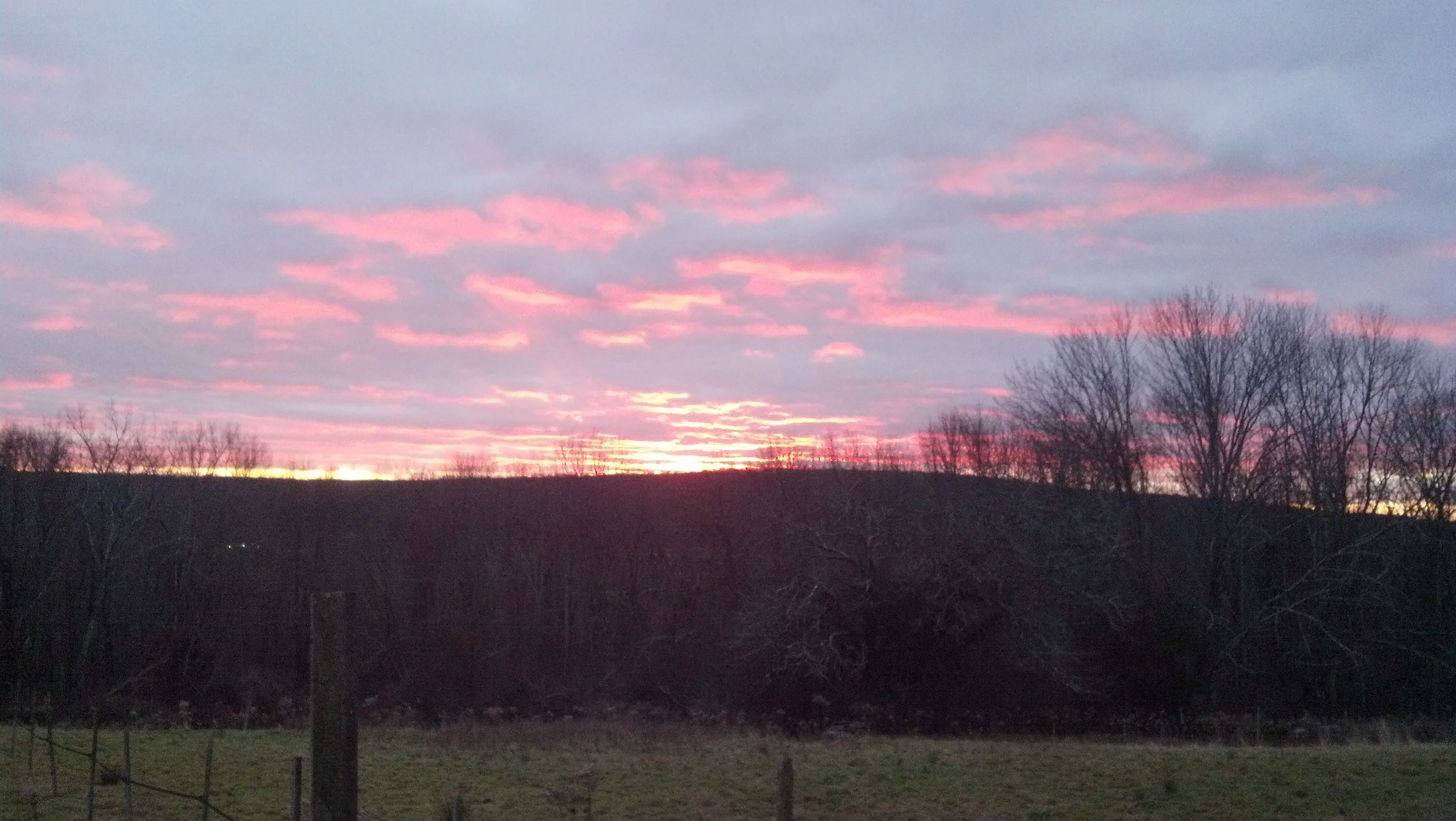 2012-12-19_16-24-47_509.jpg