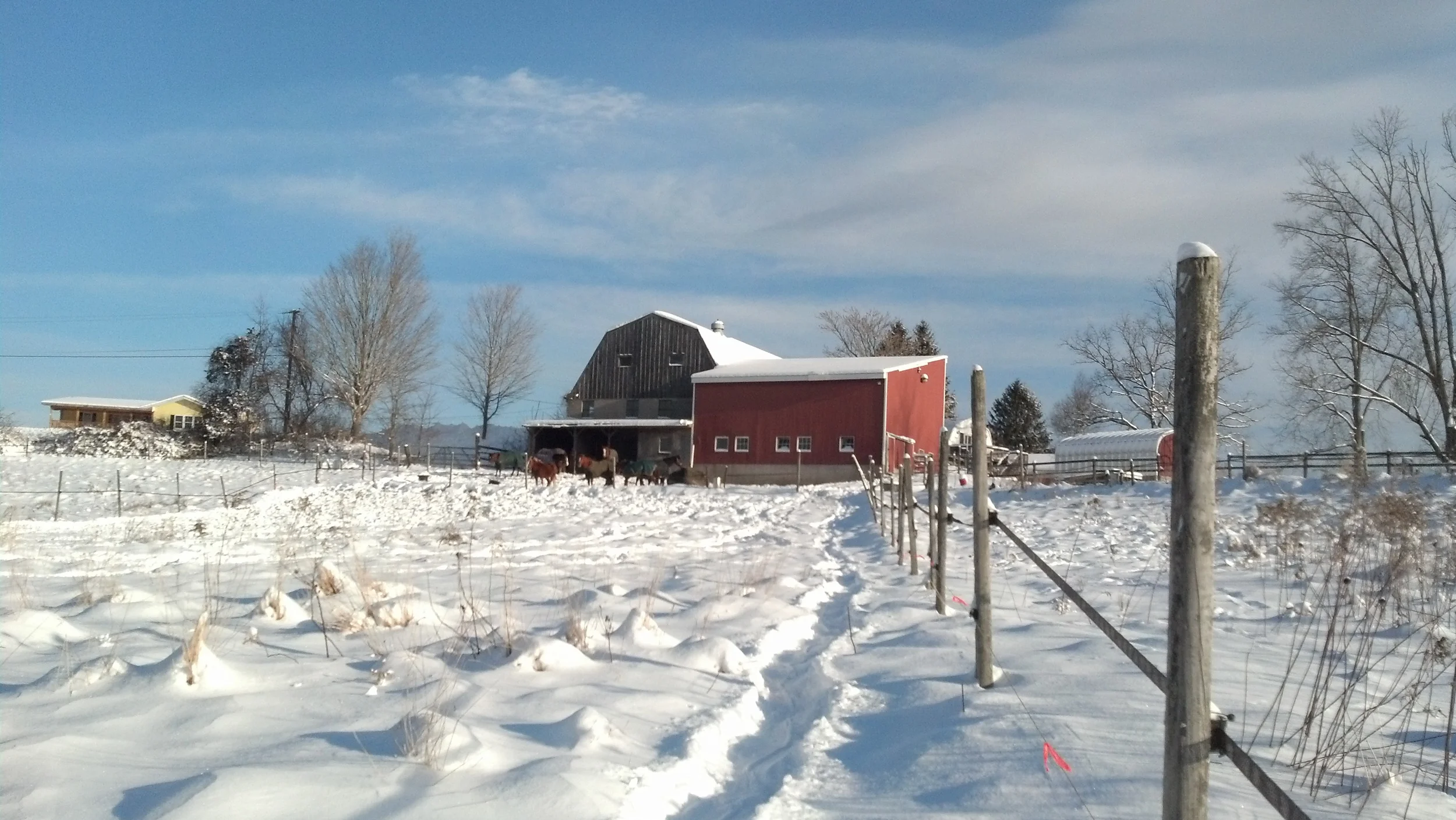 2012-12-30_09-01-07_903.jpg