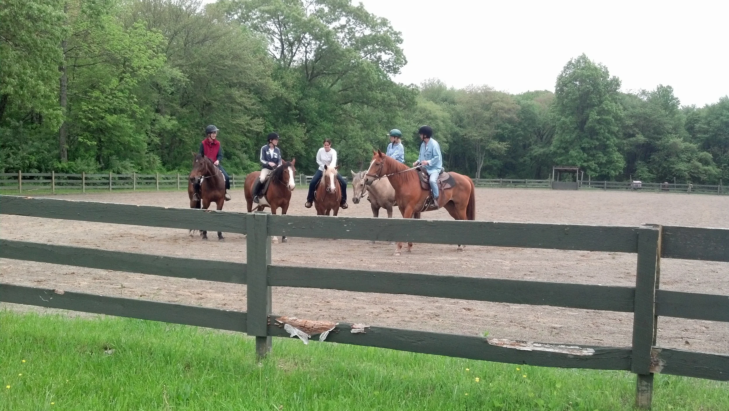 IMG_20130522_132010_710.jpg