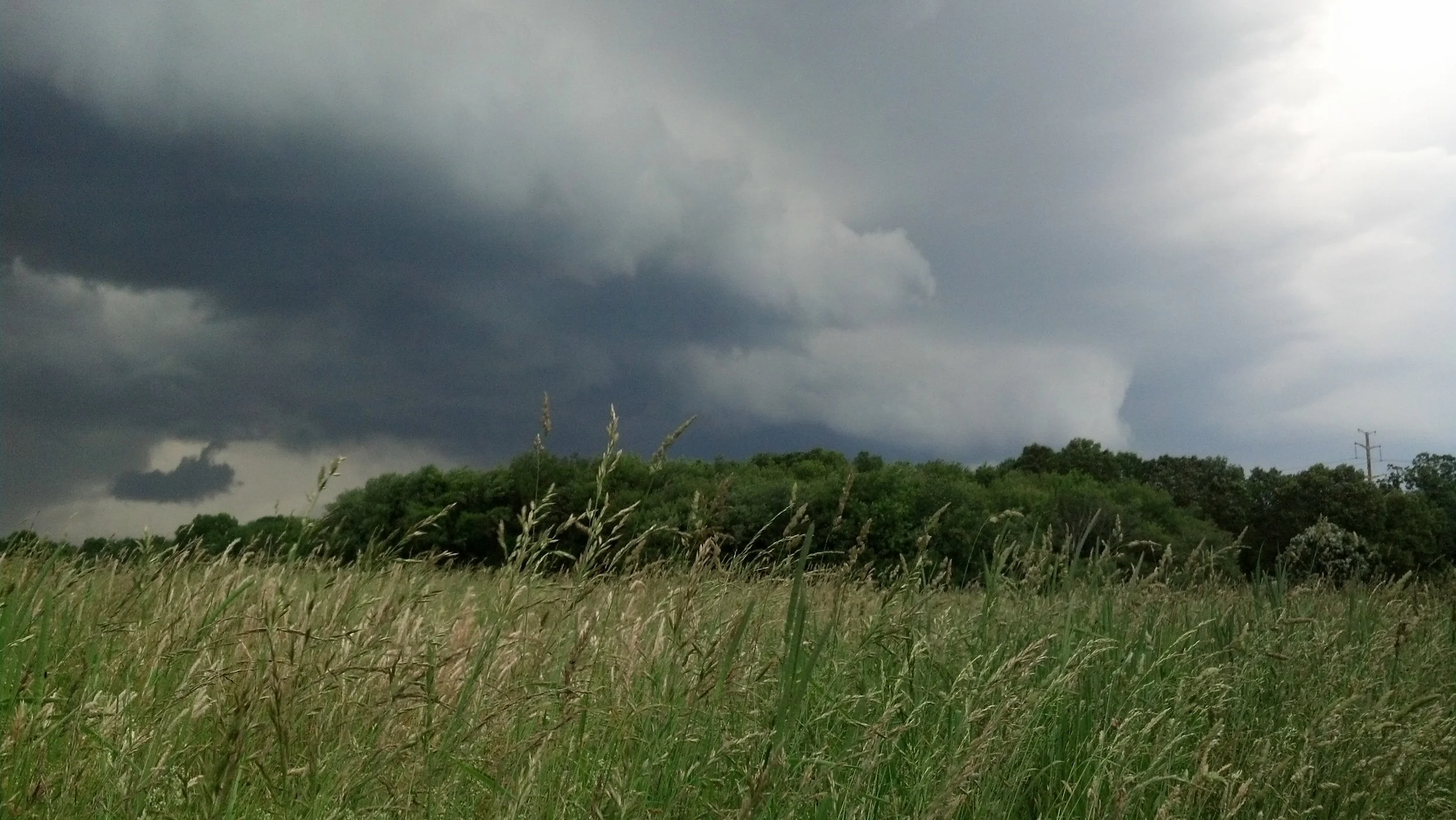 IMG_20130617_180335_912.jpg