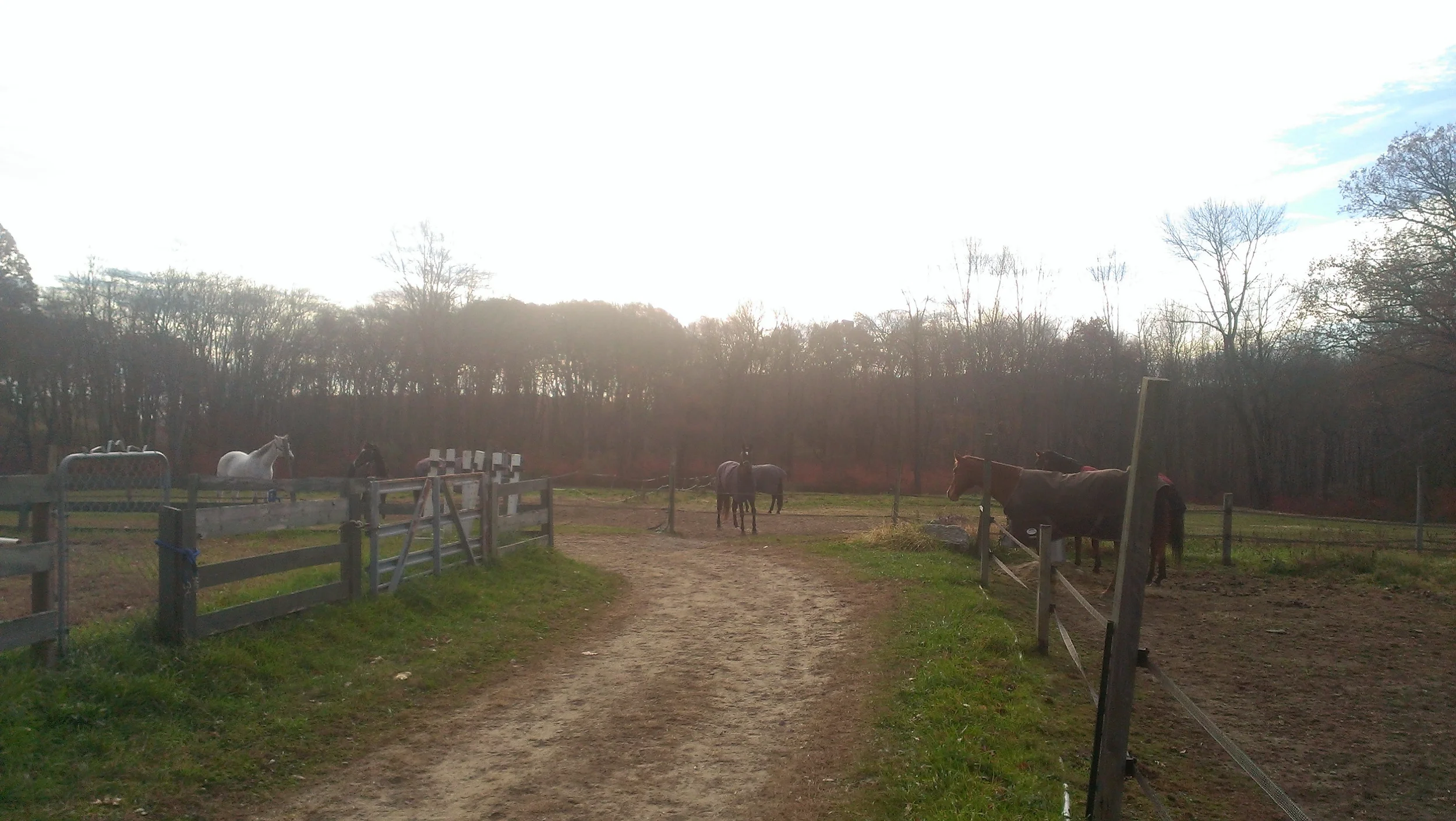 IMAG0245.jpg