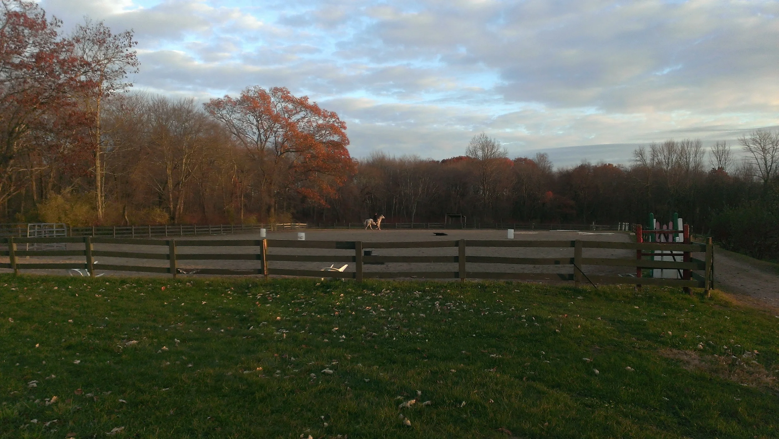 IMAG0171.jpg
