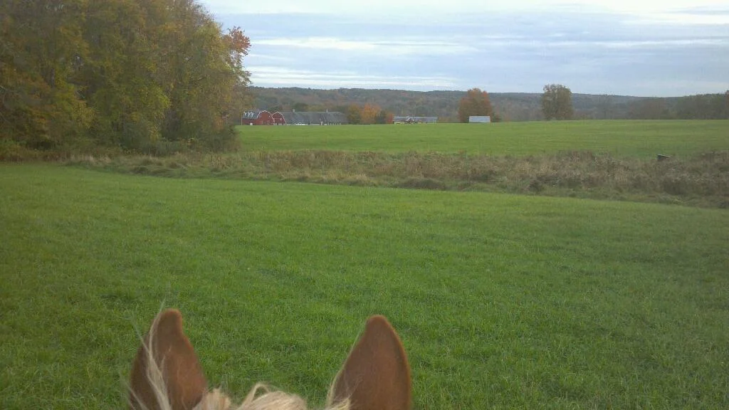 2013-10-11_17-20-29_261.jpg