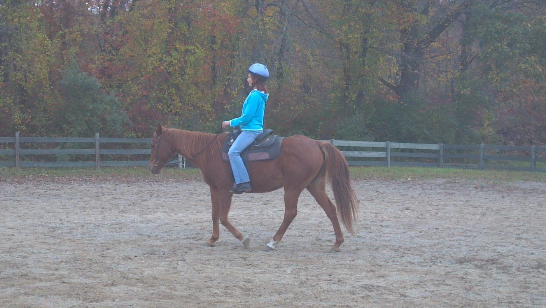 2013-10-16_09-21-20_302.jpg